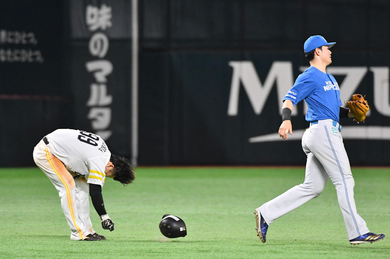ソフトバンク対日本ハム　8回裏ソフトバンク2死一、二塁、中村の打席で飛び出してタッチアウトとなり、悔しそうにヘルメットを投げる野村（撮影・岩下翔太）