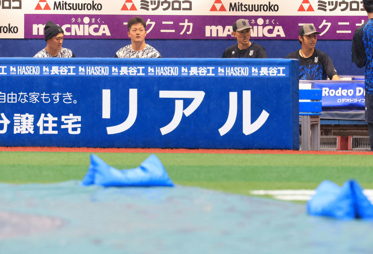 DeNA対巨人　ベンチで雨天のスタジアムをながめるDeNA松尾（左）、牧（同2人目）ら（撮影・浅見桂子）