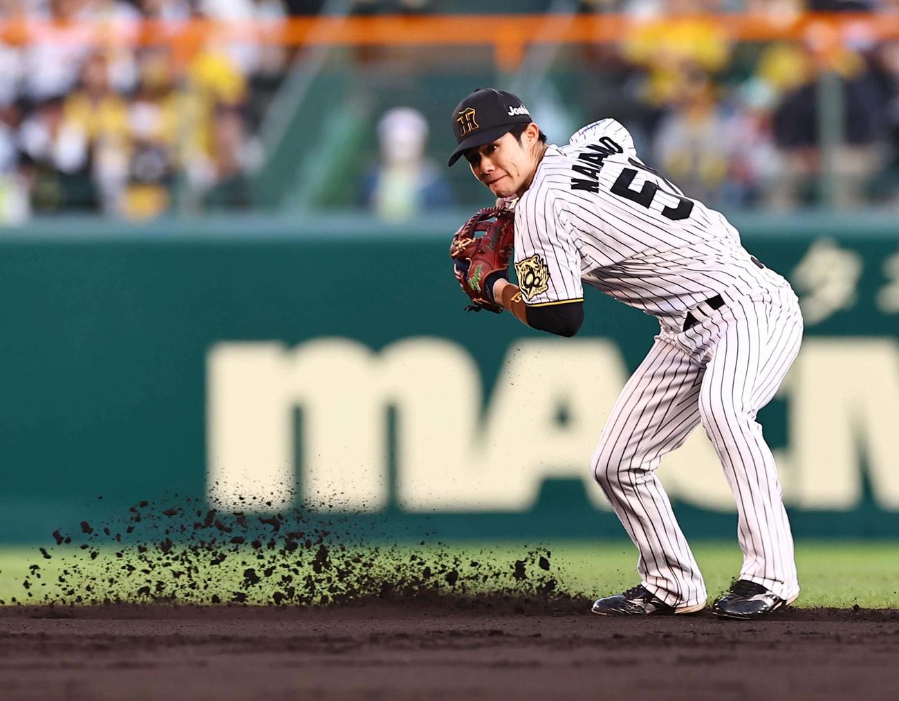 阪神対ヤクルト　2回表ヤクルト無死、中野はオスナの二ゴロをさばく（撮影・上田博志）