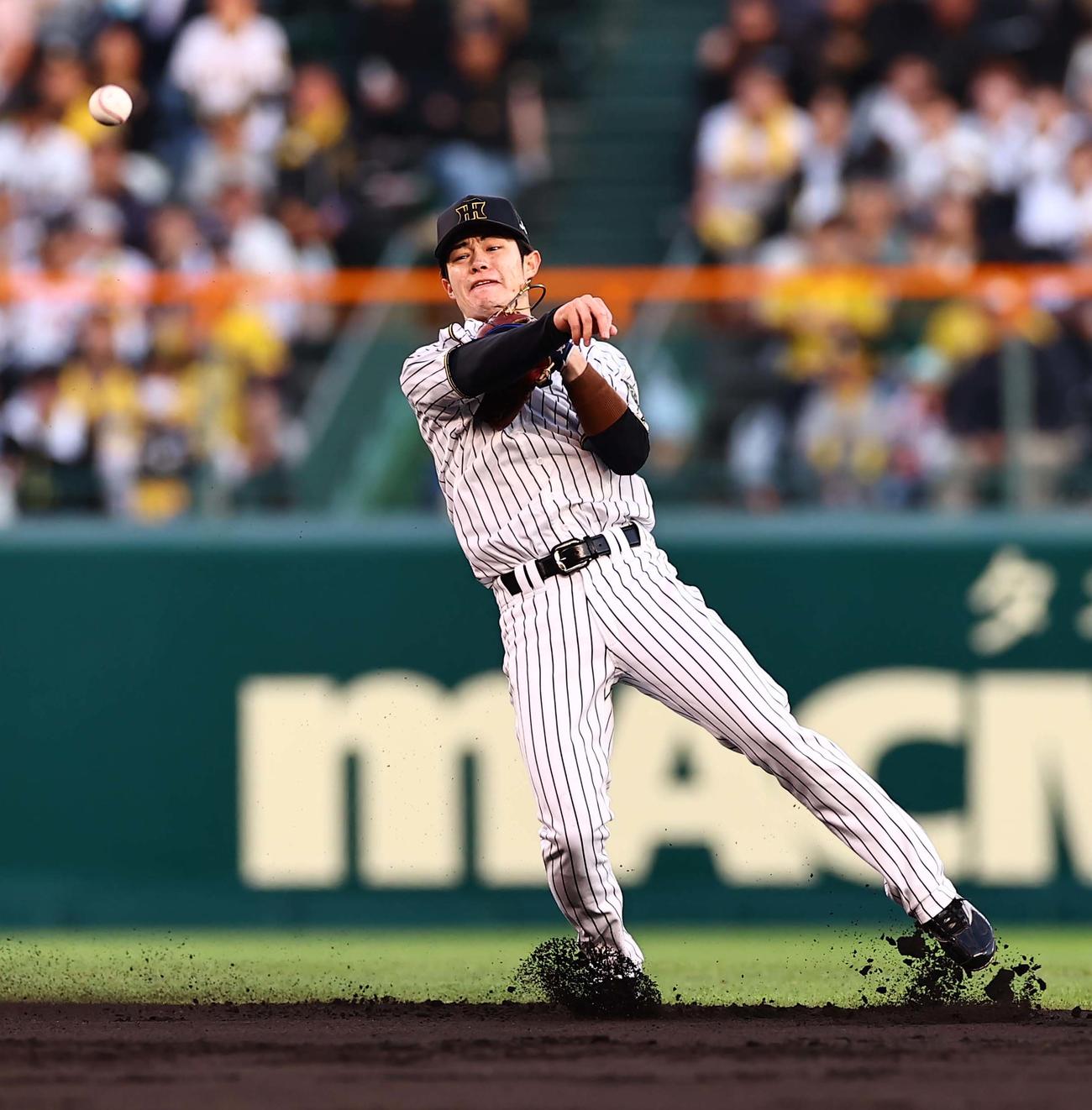 阪神対ヤクルト　2回表ヤクルト無死、中野はオスナの二ゴロをさばく（撮影・上田博志）