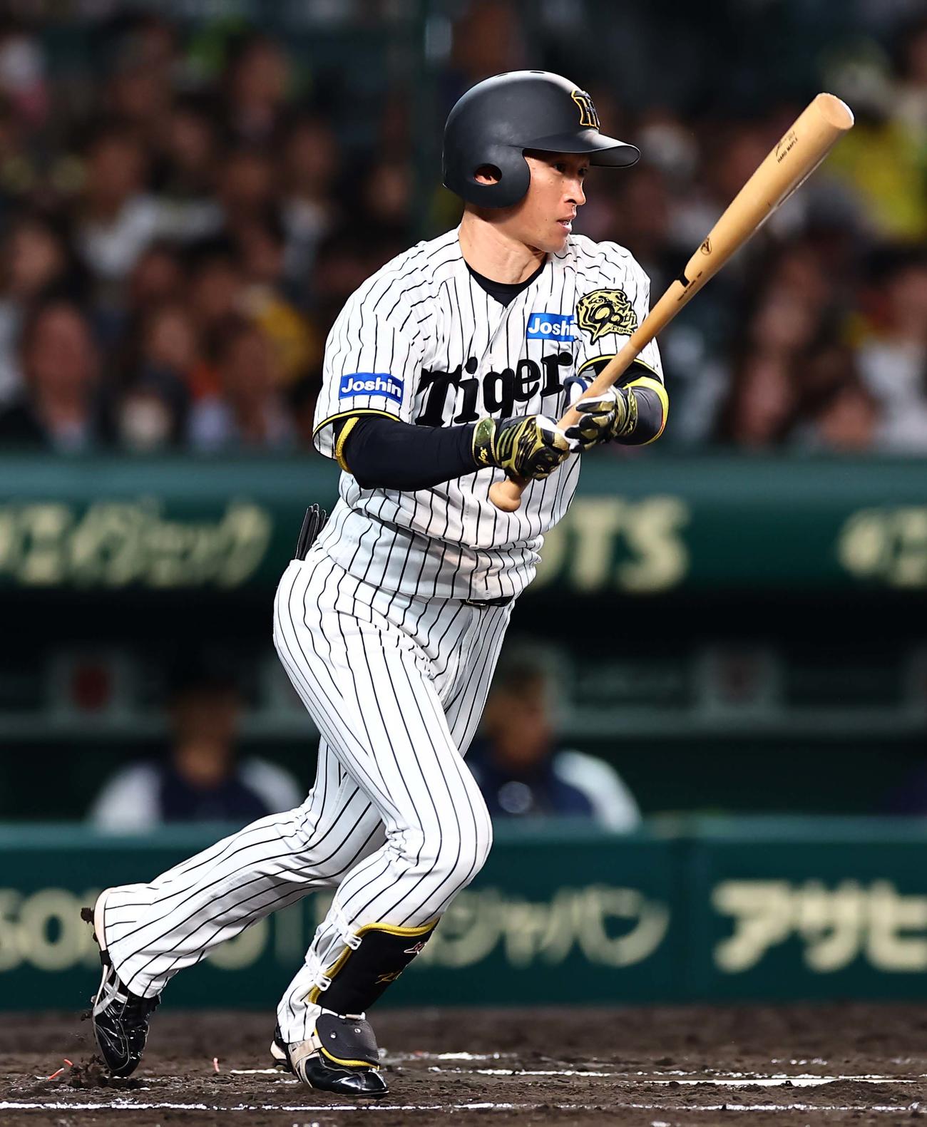 阪神対ヤクルト　6回裏阪神無死、近本は左前打を放つ（撮影・上田博志）
