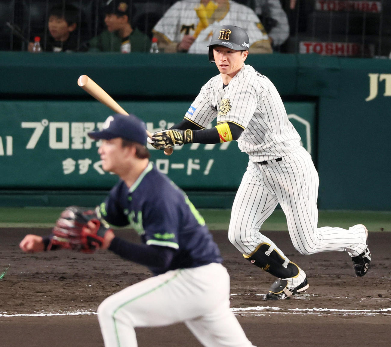 阪神対ヤクルト　6回裏阪神無死、近本は右前打を放つ。投手吉村（撮影・加藤哉）