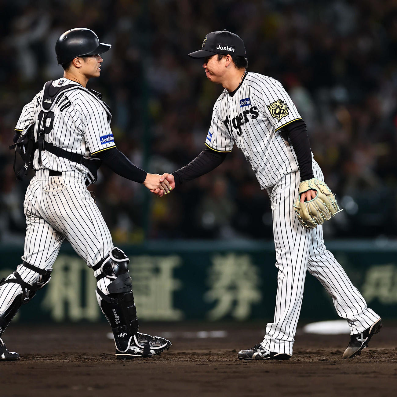 阪神対ヤクルト　9回表ヤクルト2死、完封勝利した村上（右）は坂本と握手を交わす（撮影・上田博志）