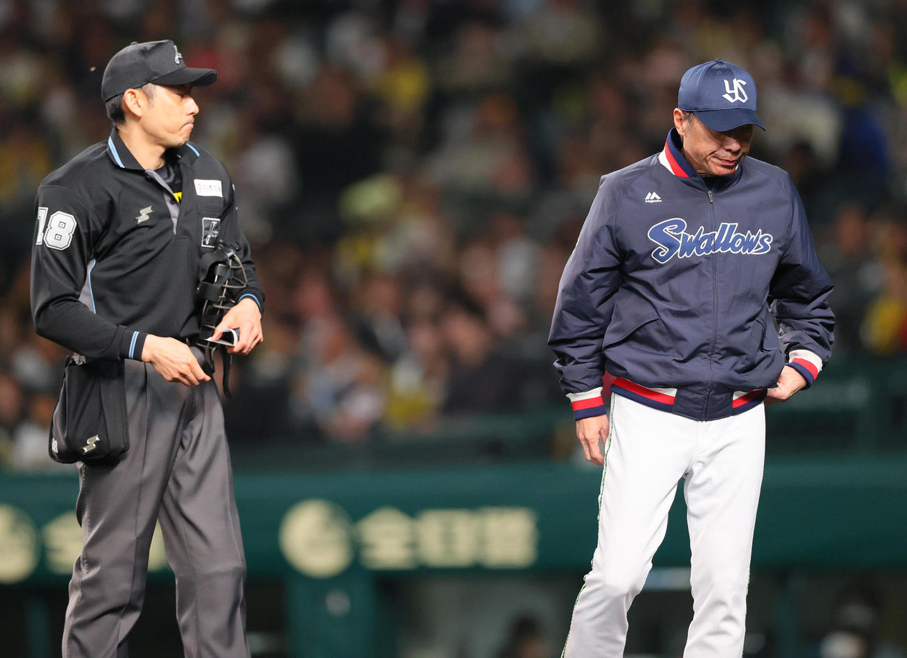 阪神対ヤクルト　6回途中で高津監督（右）は先発の吉村を交代させベンチへ戻る（撮影・上山淳一）