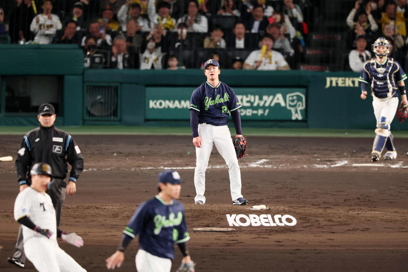 阪神対ヤクルト　6回裏阪神1死一、二塁、前川の投ゴロを二塁へ悪送球し失点する吉村（撮影・加藤哉）