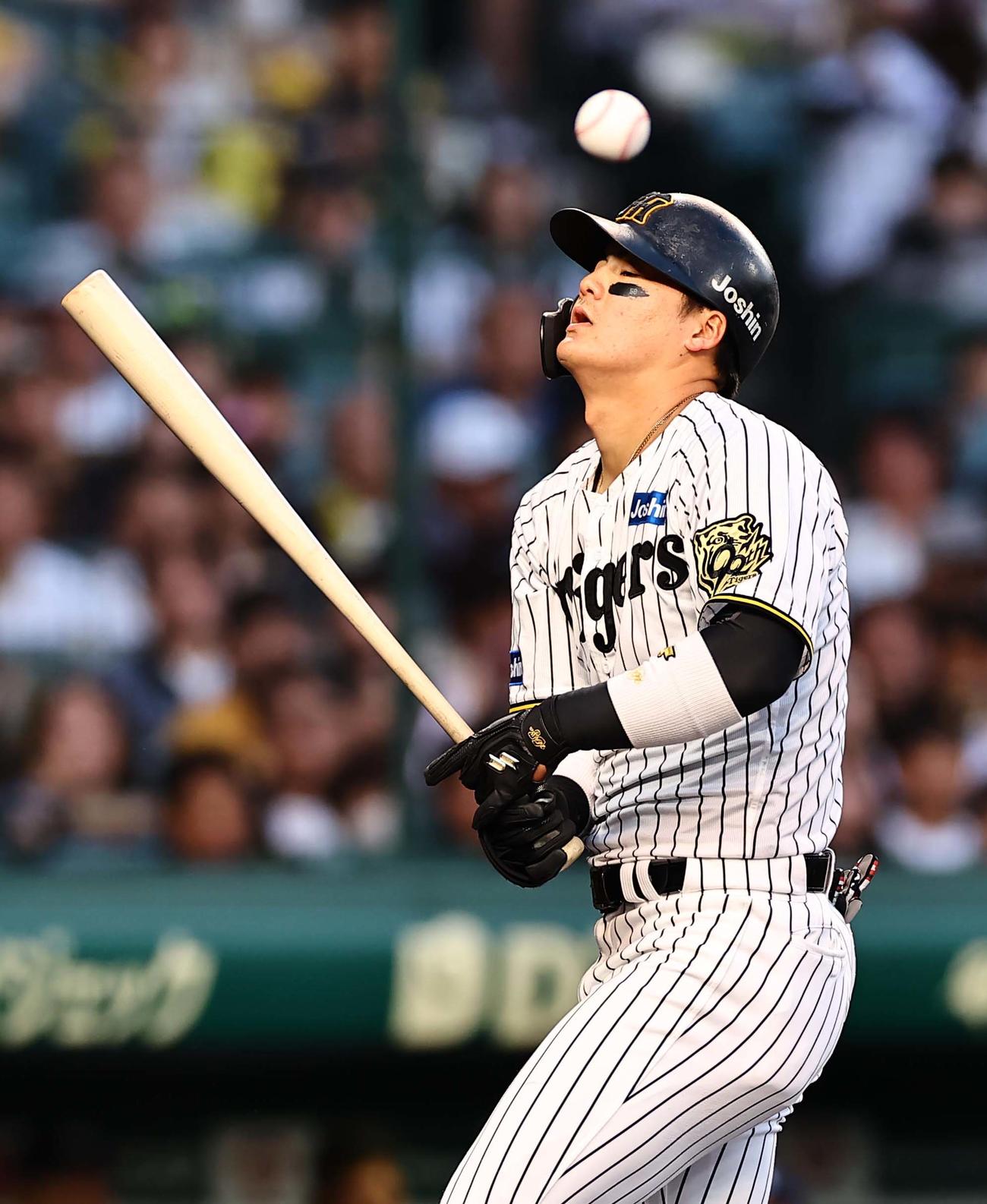 阪神対ヤクルト　2回裏阪神1死、前川は死球を受ける（撮影・上田博志）