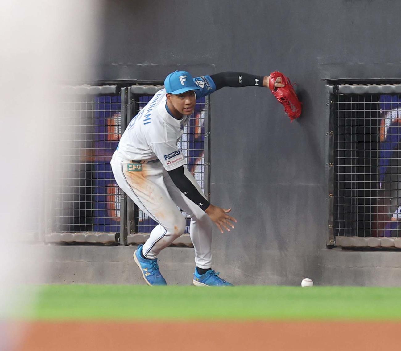 日本ハム対西武　4回表西武2死、長谷川の打球を落球する万波（撮影・黒川智章）