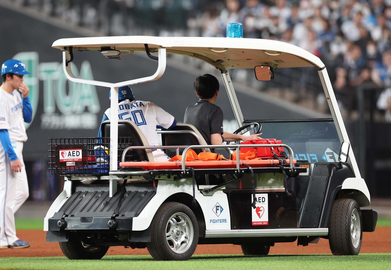 日本ハム対西武　5回裏日本ハム2死一塁、盗塁したさいに左足を痛めカートで運ばれる五十幡（撮影・黒川智章）