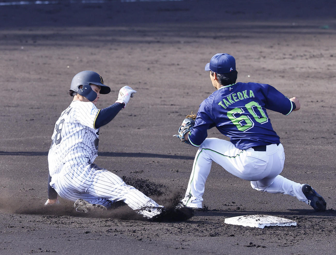 阪神対ヤクルト　6回裏阪神1死一塁、代打糸原のとき二盗を決める小幡（撮影・藤尾明華）