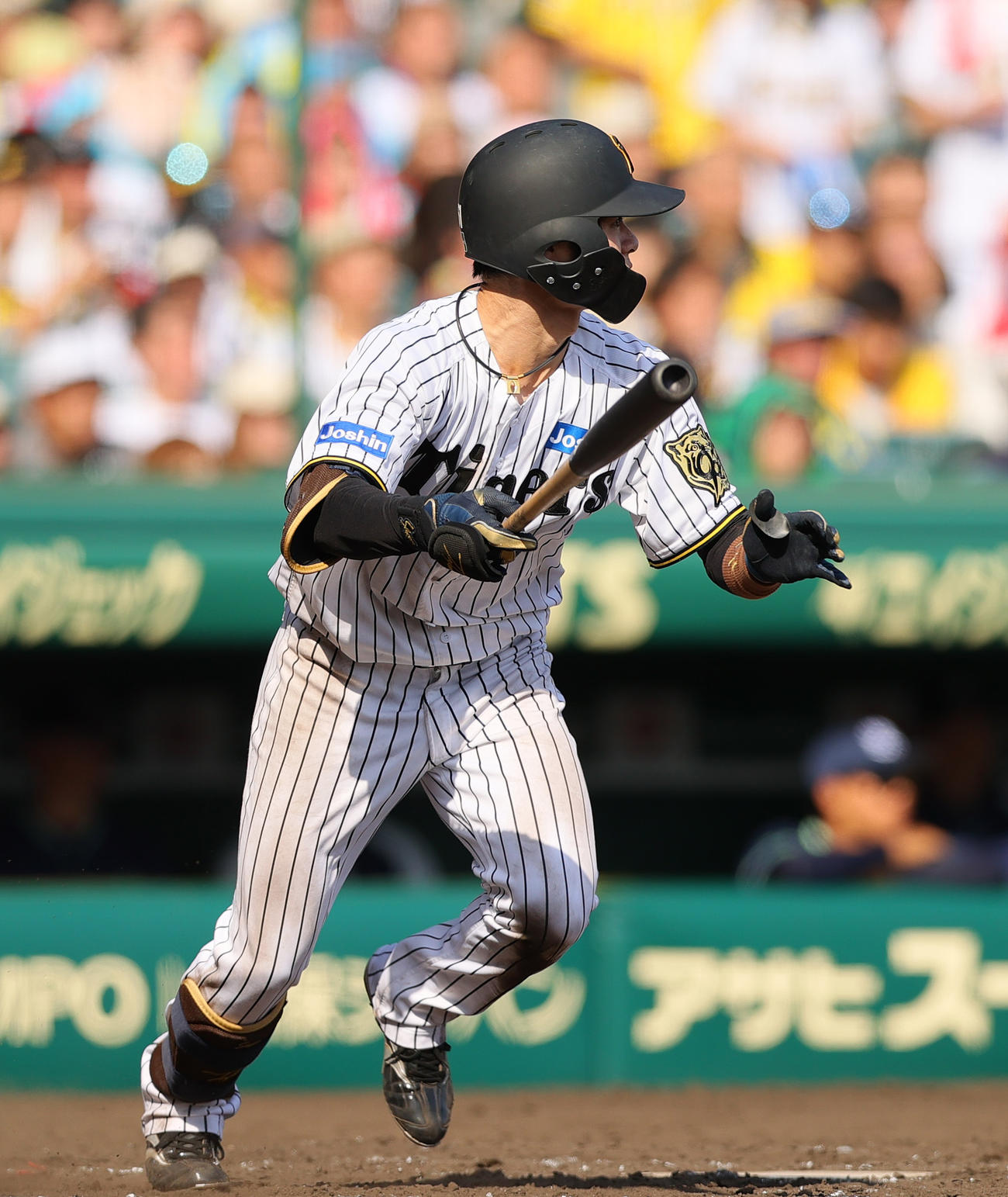 阪神対ヤクルト　5回裏阪神無死、中野は左前打を放つ（撮影・上山淳一）