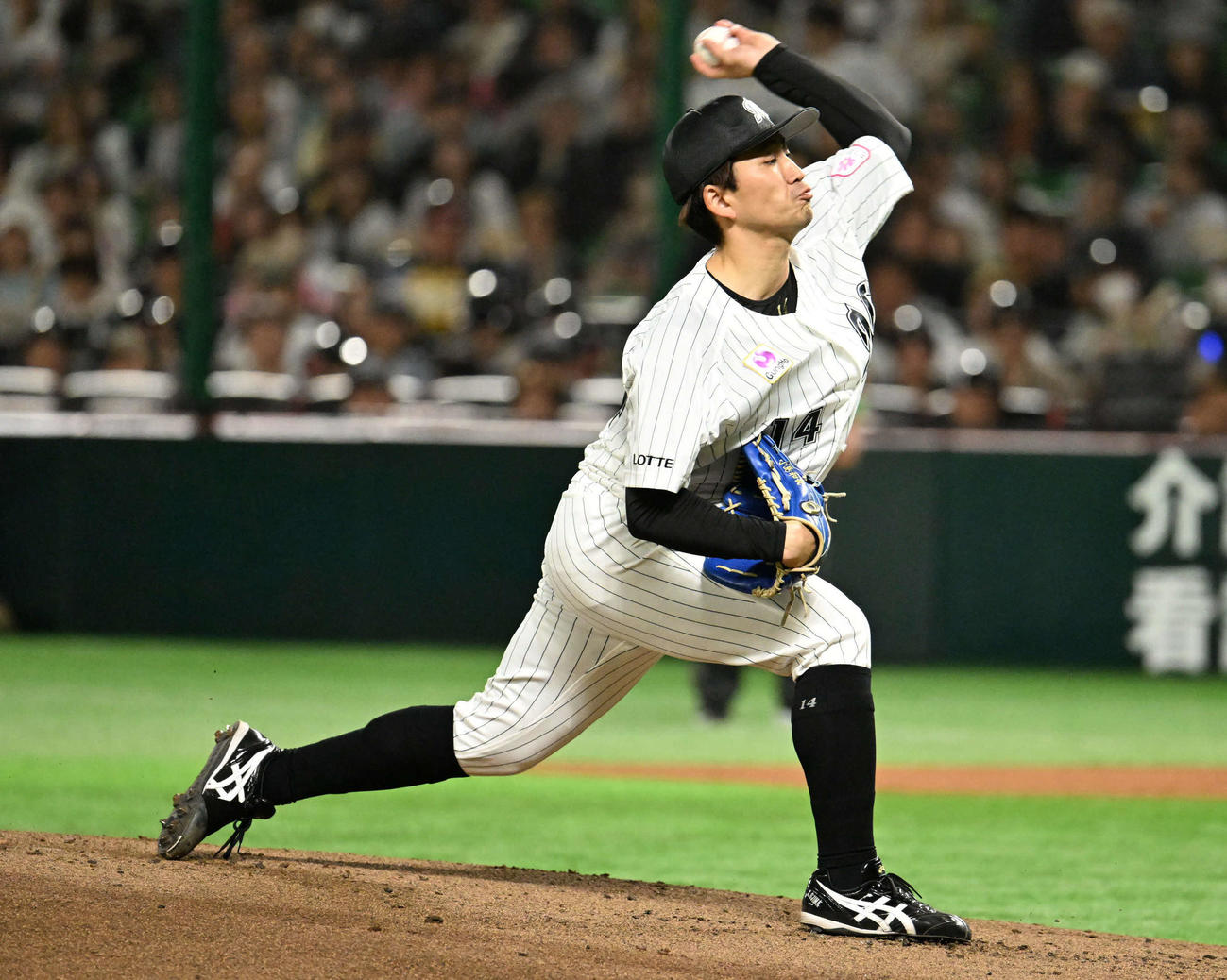 ソフトバンク対ロッテ　ロッテ先発・小島（撮影・林敢治）