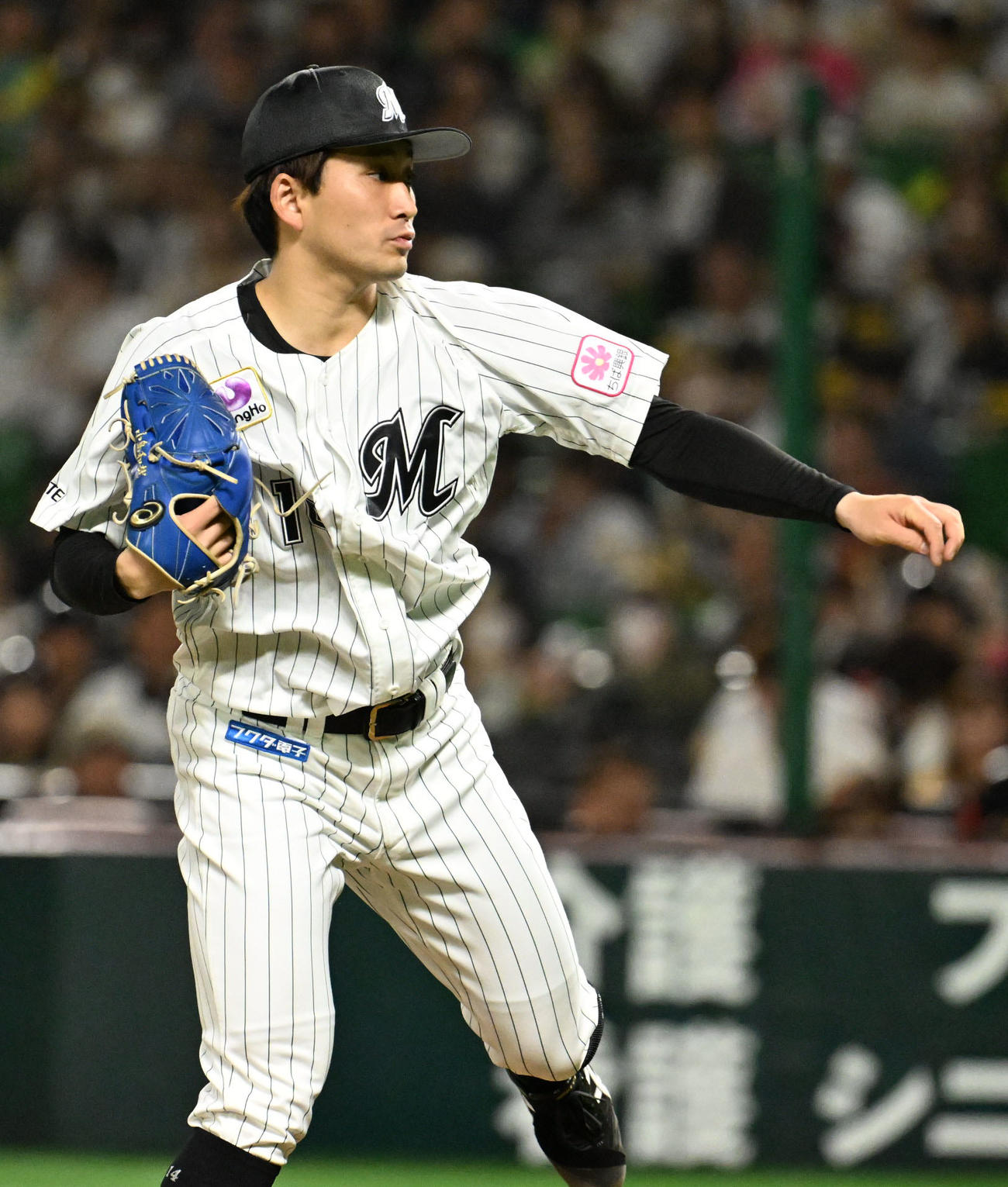 ソフトバンク対ロッテ　ロッテ先発・小島（撮影・林敢治）