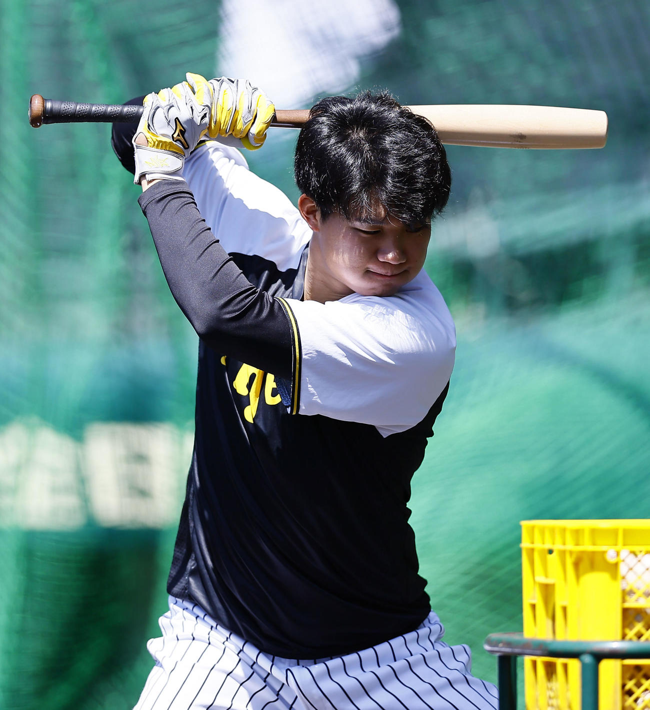 阪神対ヤクルト　魚雷バットでティー打撃をする阪神森下（撮影・藤尾明華）