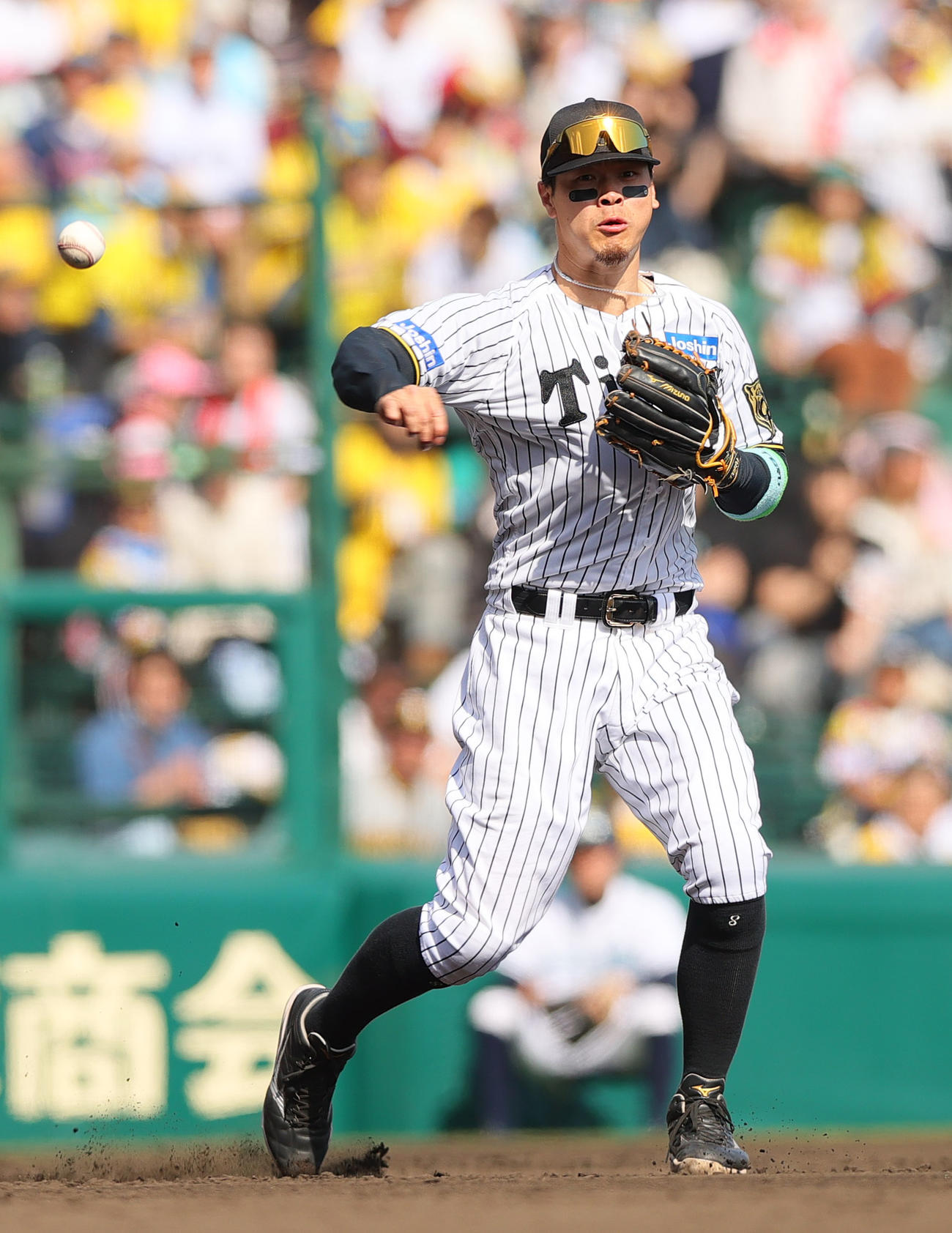 阪神対ヤクルト　5回表阪神無死、佐藤輝は岩田を三ゴロに仕留める（撮影・上山淳一）