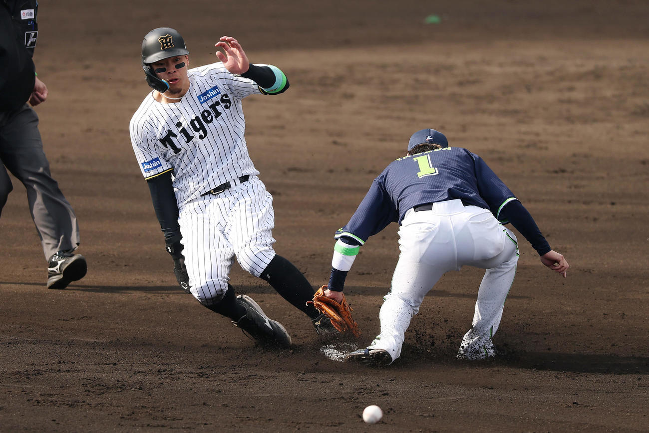 阪神対ヤクルト　7回裏阪神2死一塁、二盗を決める佐藤輝。二塁手山田（撮影・前田充）
