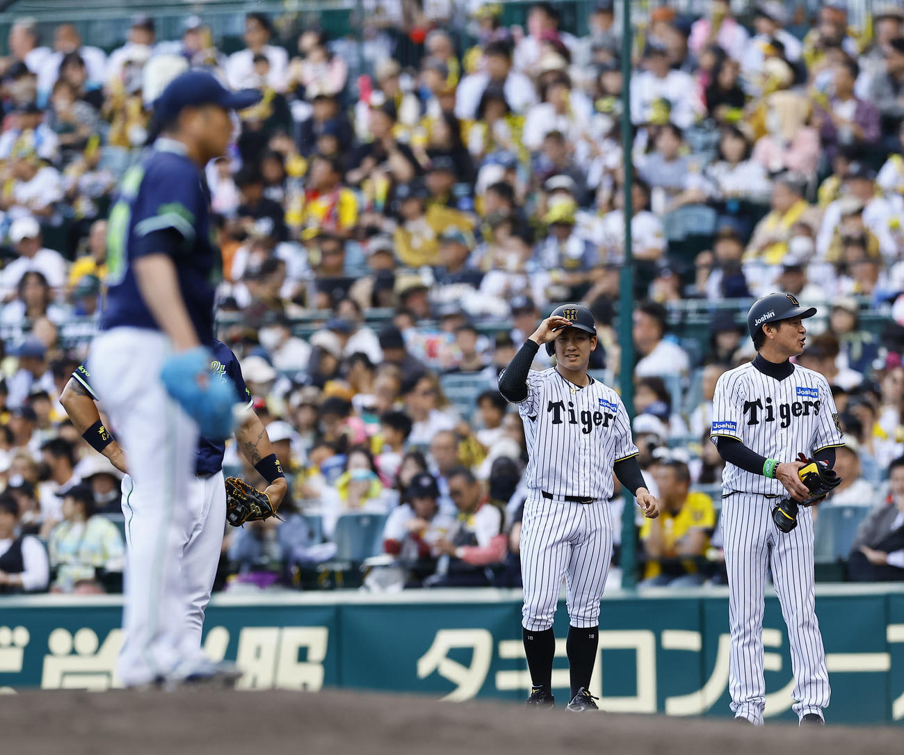 阪神対ヤクルト　5回裏阪神2死、右前にプロ初安打を放った伊原は、一塁ベースから石川（左）を見つめる（撮影・藤尾明華）
