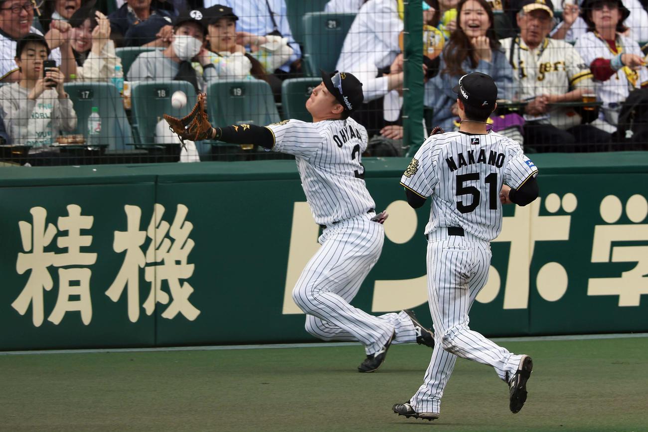 阪神対ヤクルト　6回表ヤクルト1死一塁、山田の一邪飛を好捕する大山（撮影・前田充）