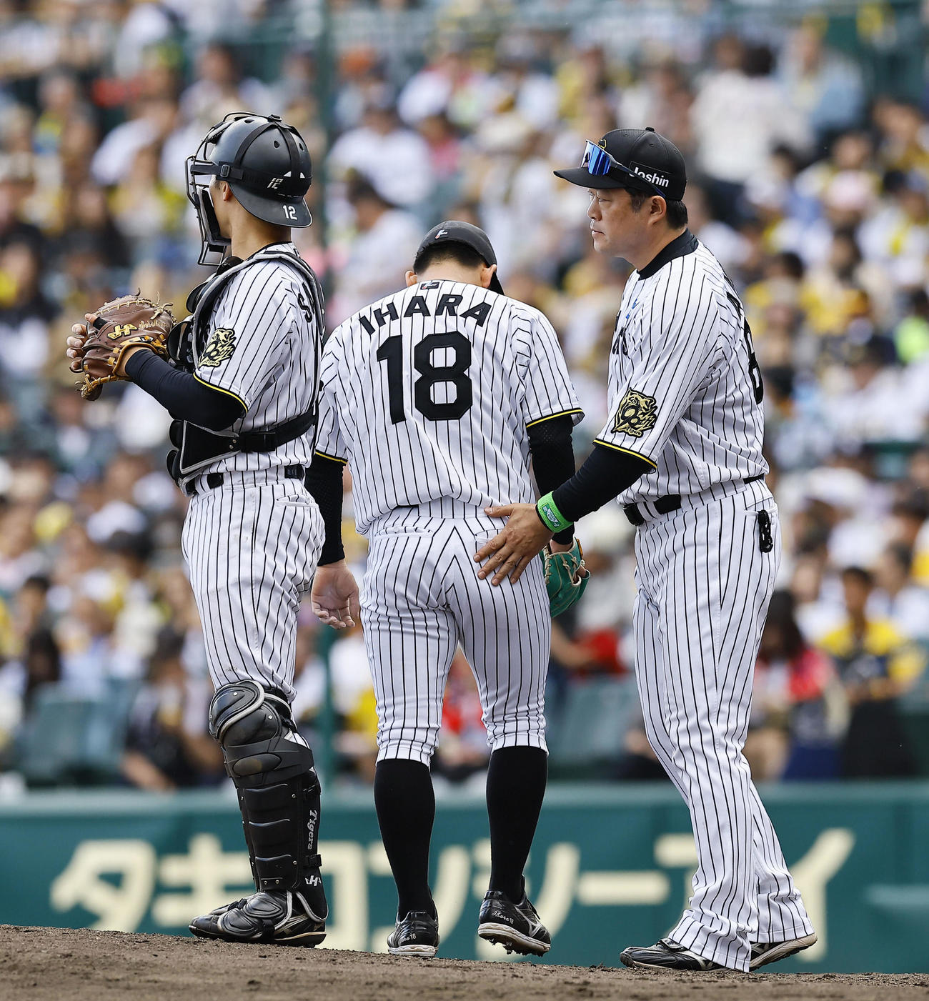 阪神対ヤクルト　7回表ヤクルト1死三塁、降板する伊原（撮影・藤尾明華）