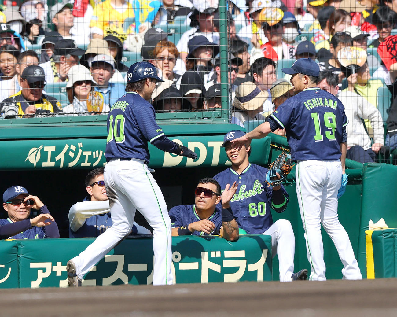 阪神対ヤクルト　4回表ヤクルト2死一、三塁、石川（右）は茂木の右前適時打で生還した赤羽を出迎える（撮影・上山淳一）