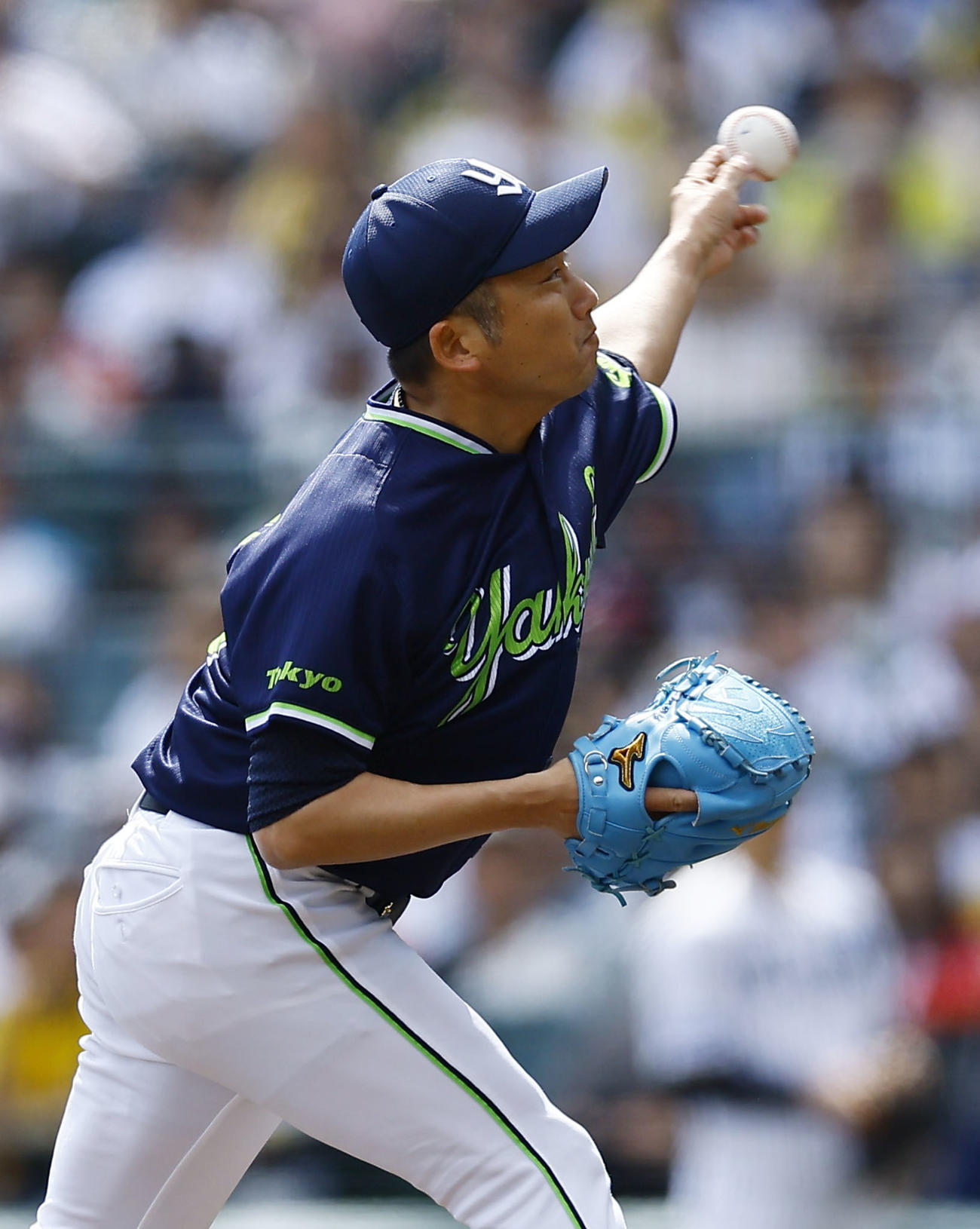 阪神対ヤクルト　ヤクルト先発の石川（撮影・藤尾明華）