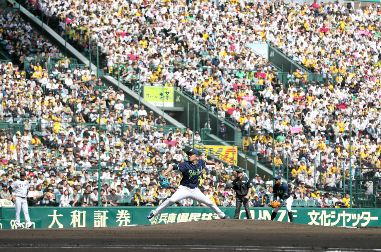 阪神対ヤクルト　力投するヤクルト先発の石川（撮影・上山淳一）