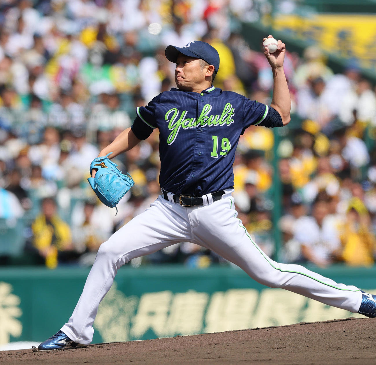 阪神対ヤクルト　ヤクルト先発の石川（撮影・上山淳一）