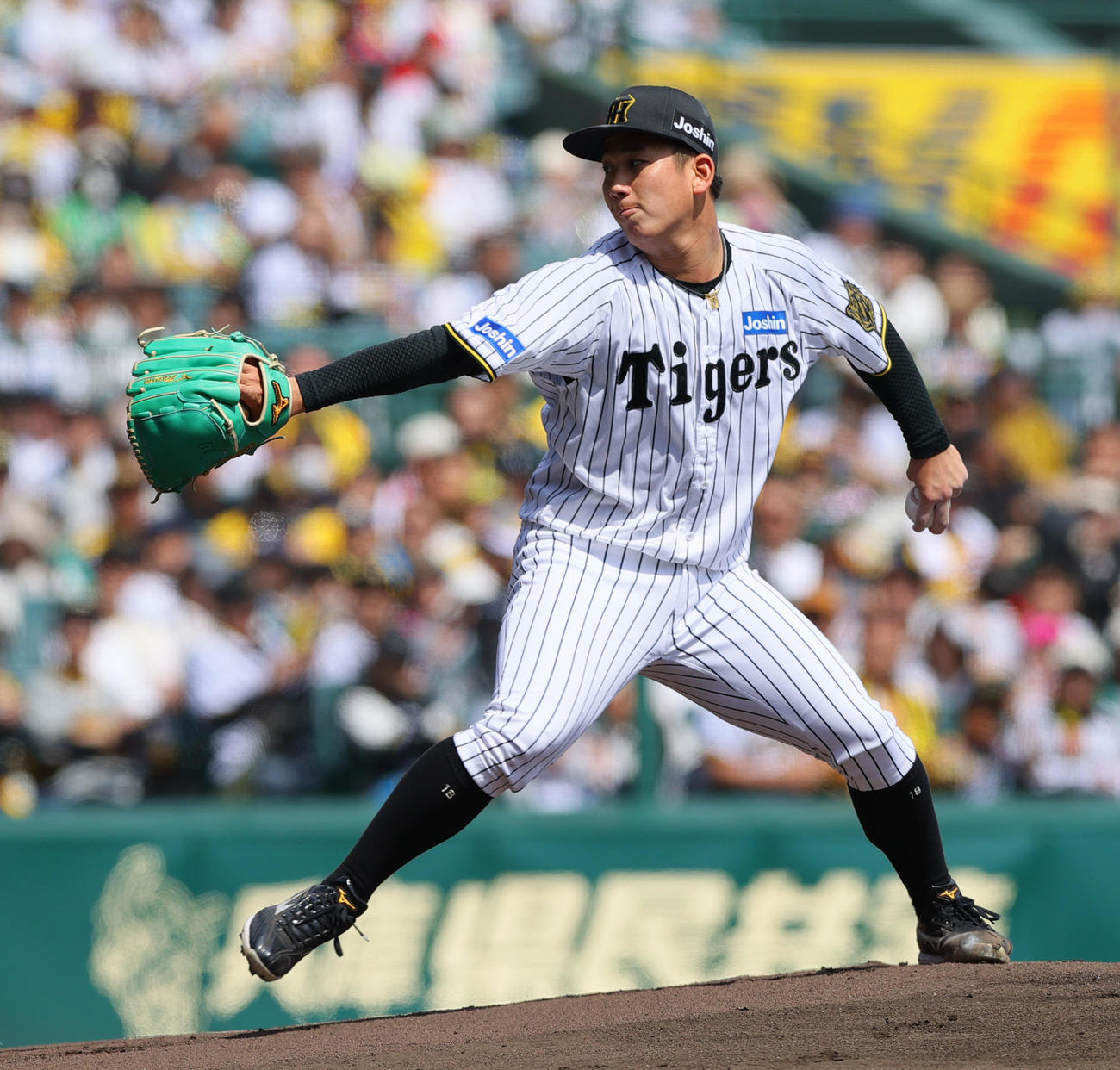 阪神対ヤクルト　阪神先発の伊原（撮影・上山淳一）