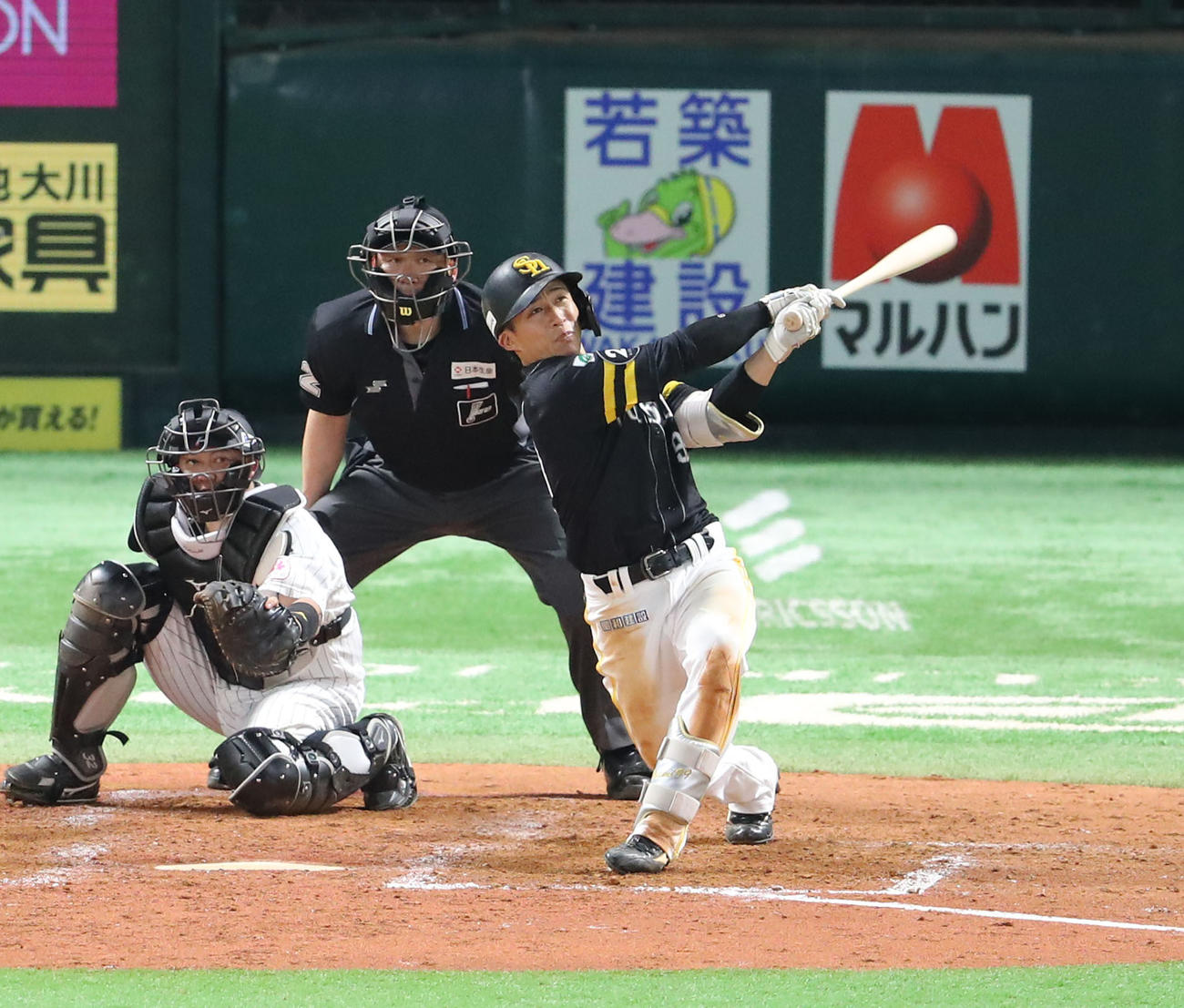 ソフトバンク対ロッテ　5回裏ソフトバンク無死、野村は左越えに勝ち越し本塁打を放つ（撮影・梅根麻紀）