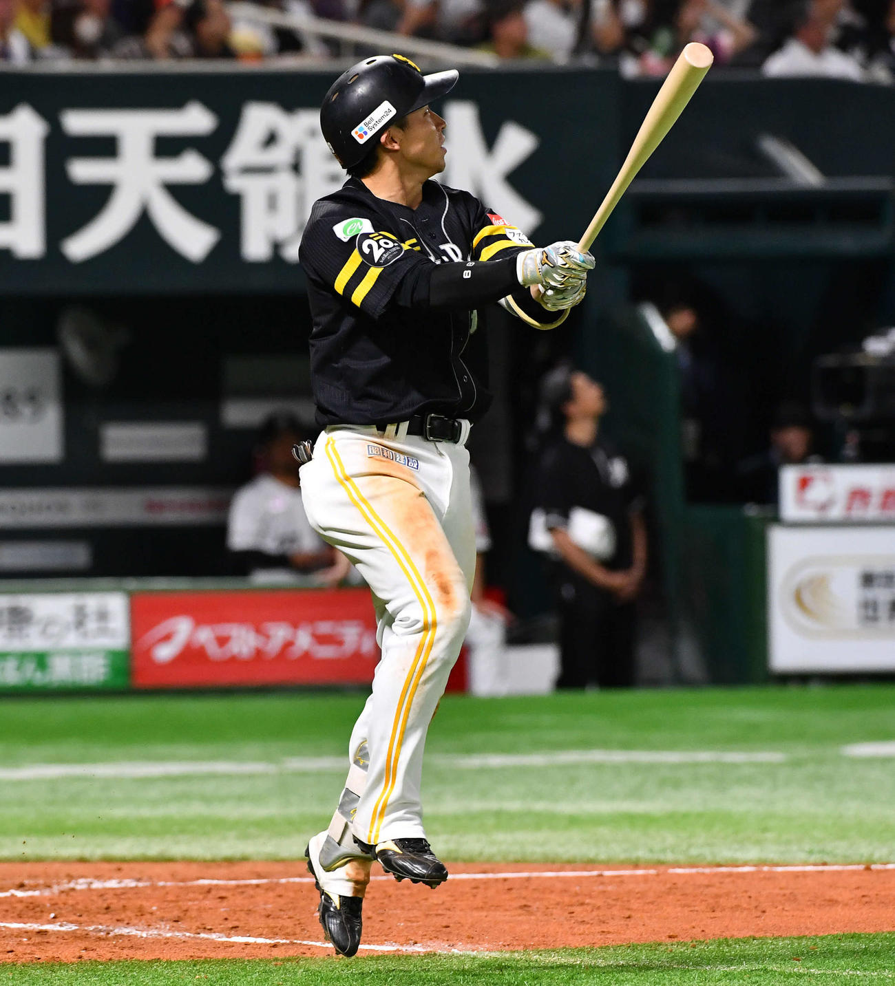ソフトバンク対ロッテ　5回裏ソフトバンク無死、野村は勝ち越しの左越え本塁打を放つ（撮影・岩下翔太）