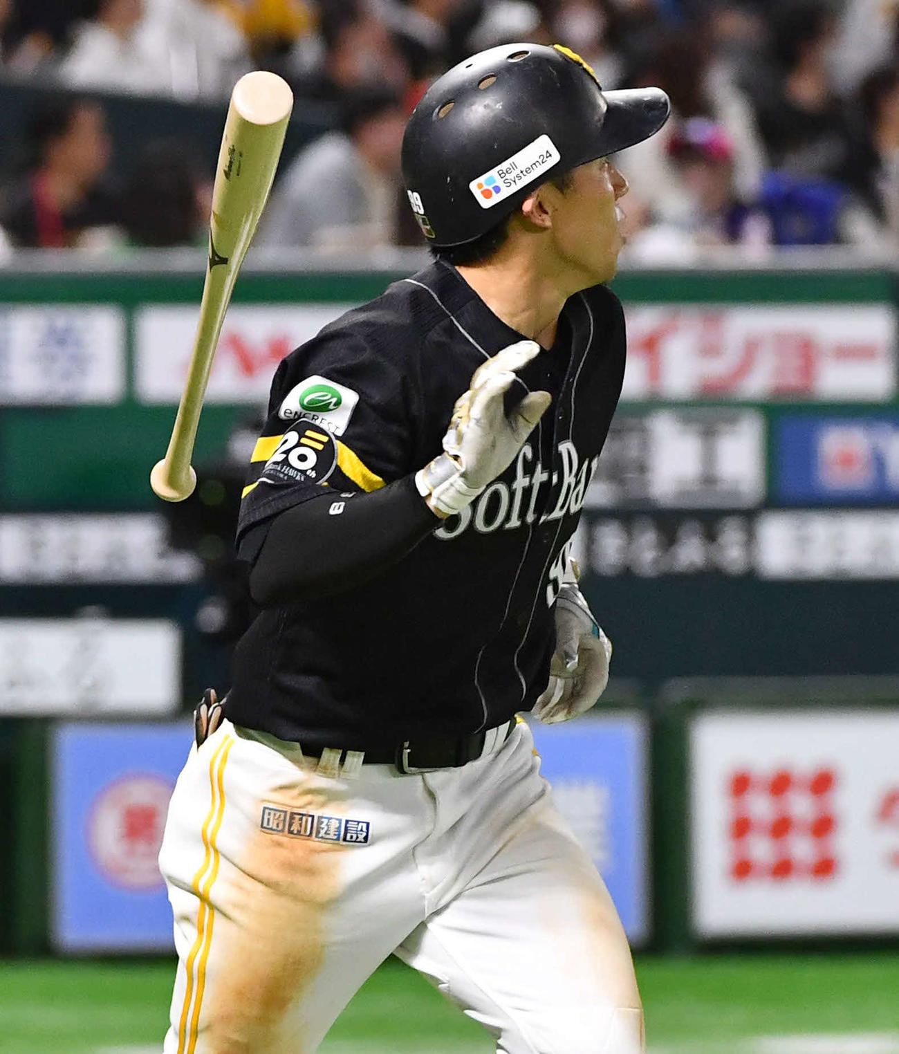 ソフトバンク対ロッテ　5回裏ソフトバンク無死、野村は勝ち越しの左越え本塁打を放つ（撮影・岩下翔太）