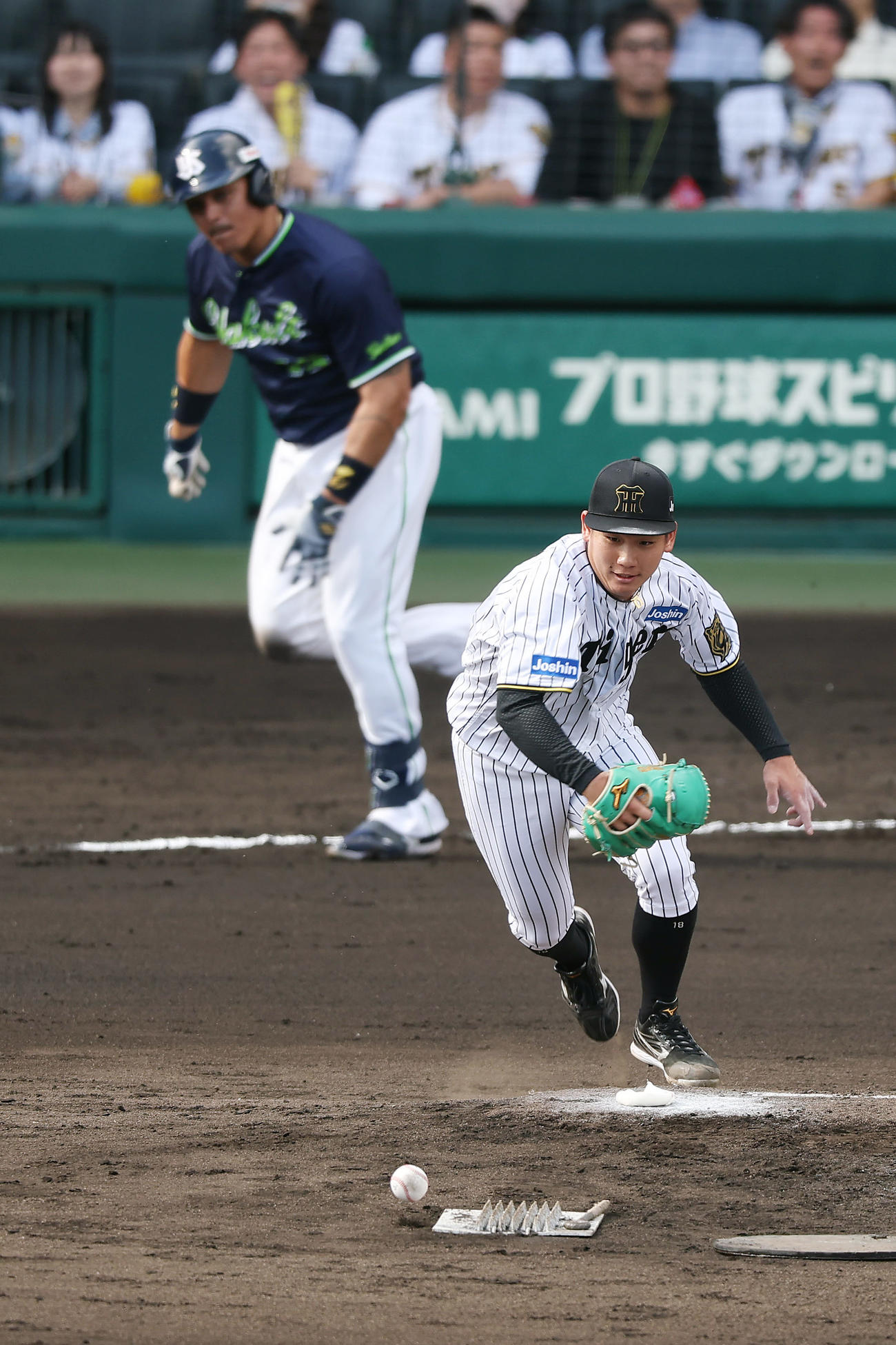 阪神対ヤクルト　6回表ヤクルト2死一塁、オスナの打球に反応し投ゴロに仕留める伊原（撮影・前田充）