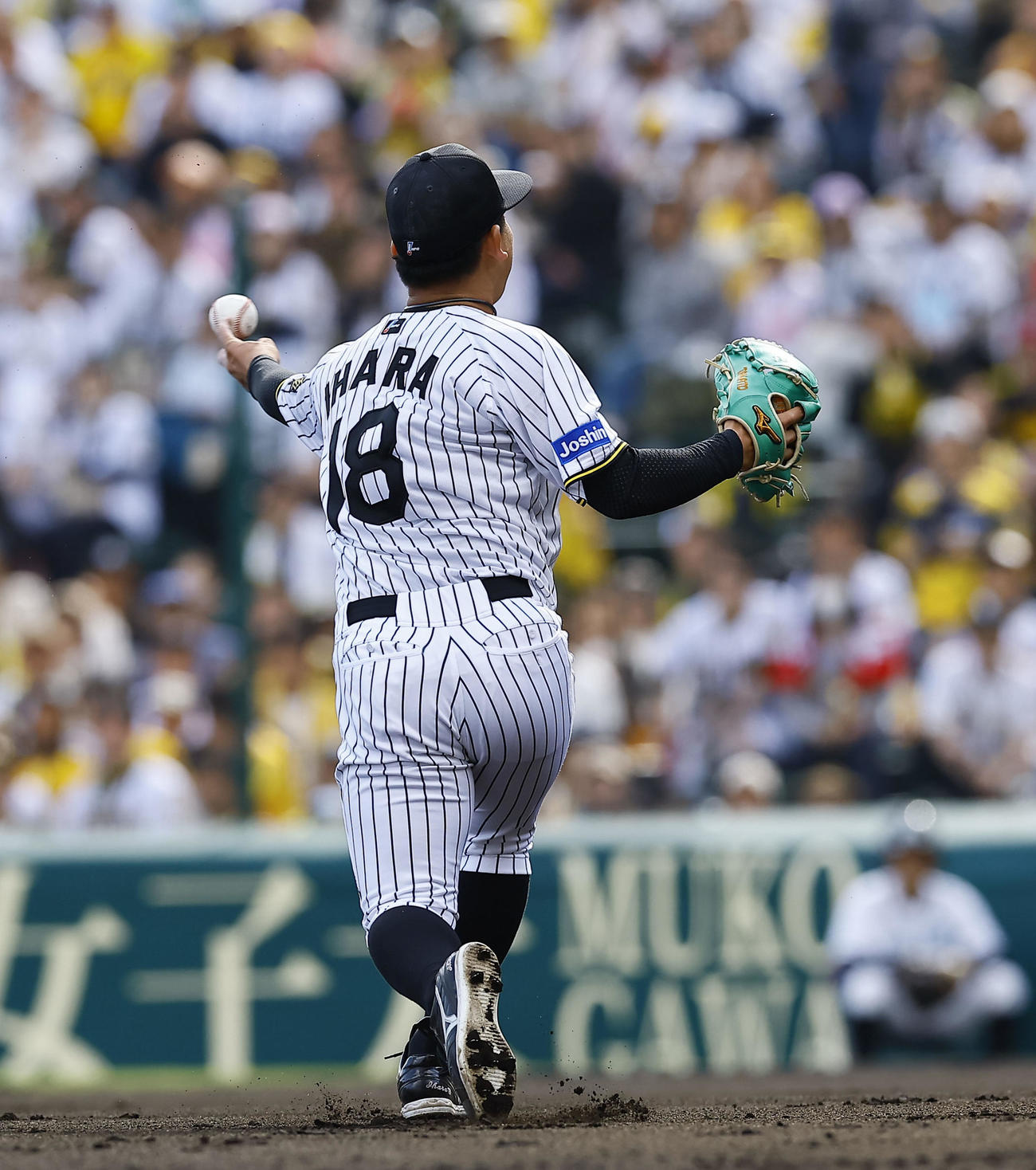 阪神対ヤクルト　6回表ヤクルト2死一塁、オスナの投ゴロで、はじいたボールを一塁へ送球する伊原（撮影・藤尾明華）