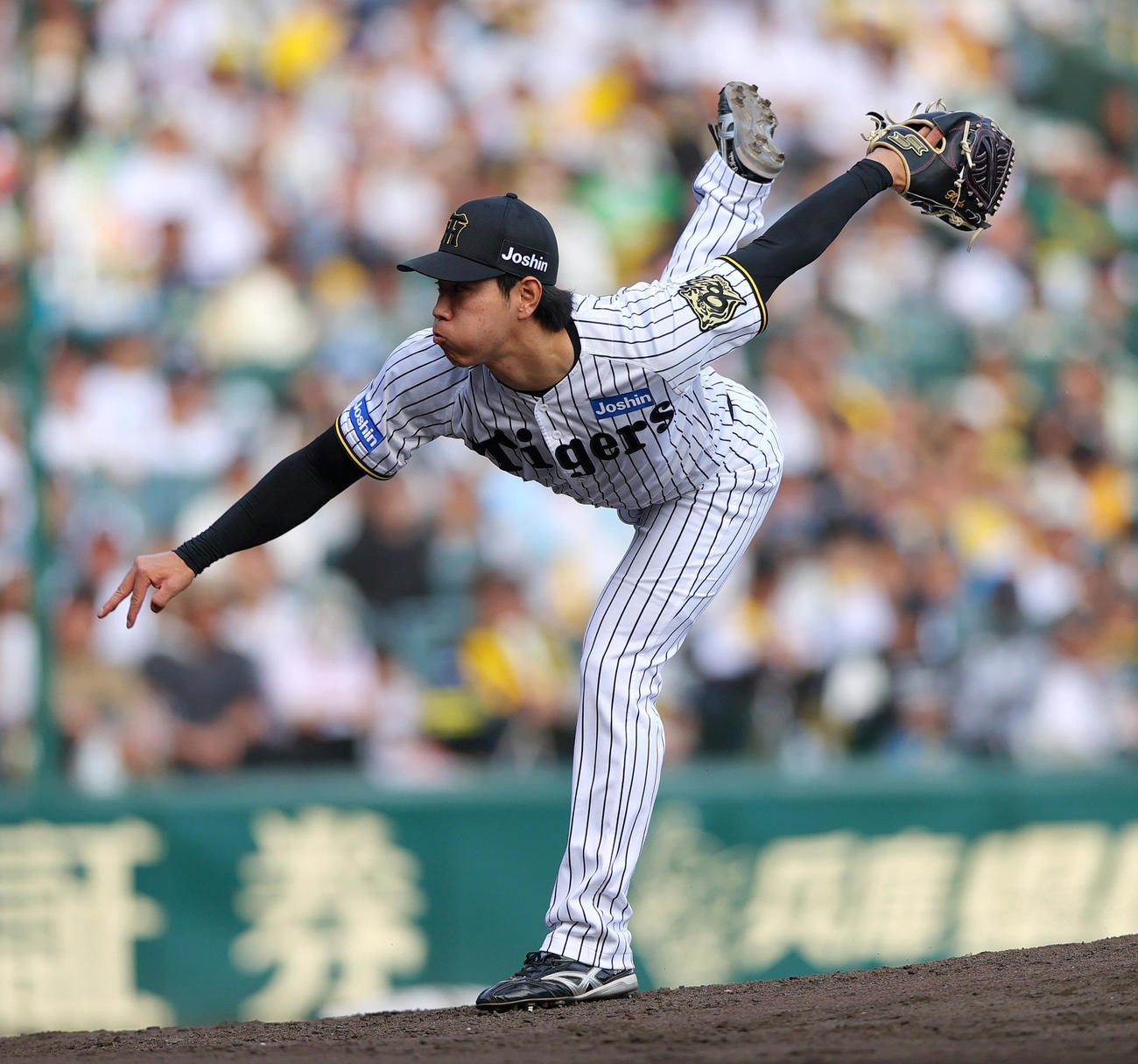 阪神対ヤクルト　8回表、阪神3番手で登板の工藤（撮影・上山淳一）