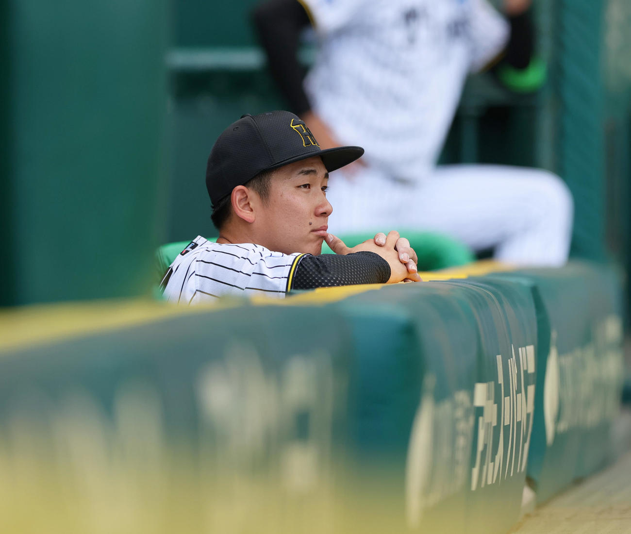 阪神対ヤクルト　7回途中で降板しグラウンドを見つめる阪神伊原（撮影・上山淳一）