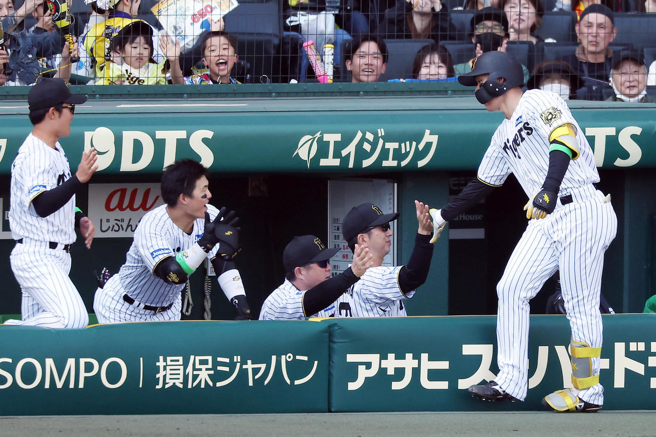 阪神対ヤクルト　4回裏阪神無死、左越え同点本塁打を放った森下（右端）を迎える藤川監督（同2人目）ら（撮影・前田充）