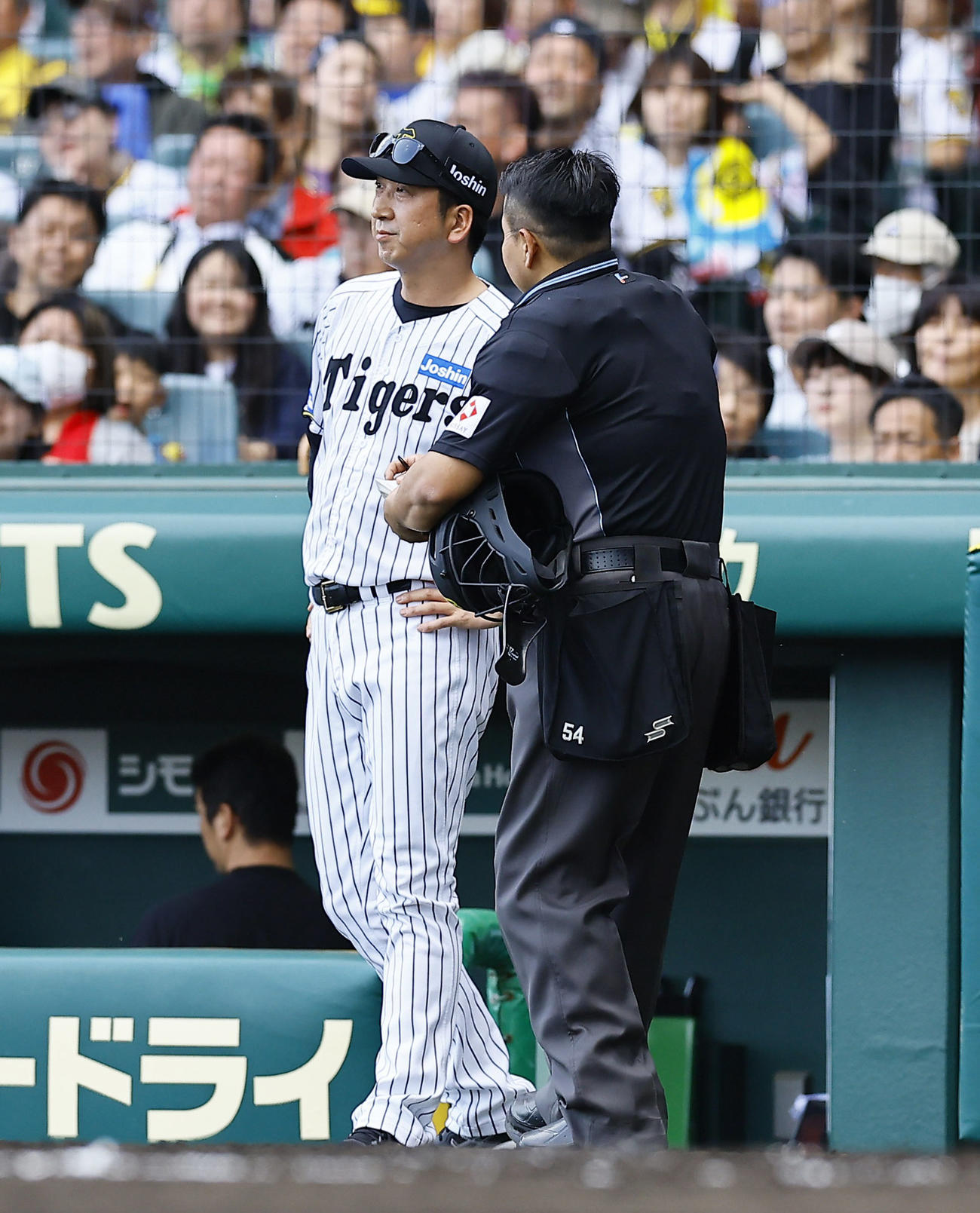 阪神対ヤクルト　7回表ヤクルト1死三塁、投手交代を告げる藤川監督（撮影・藤尾明華）