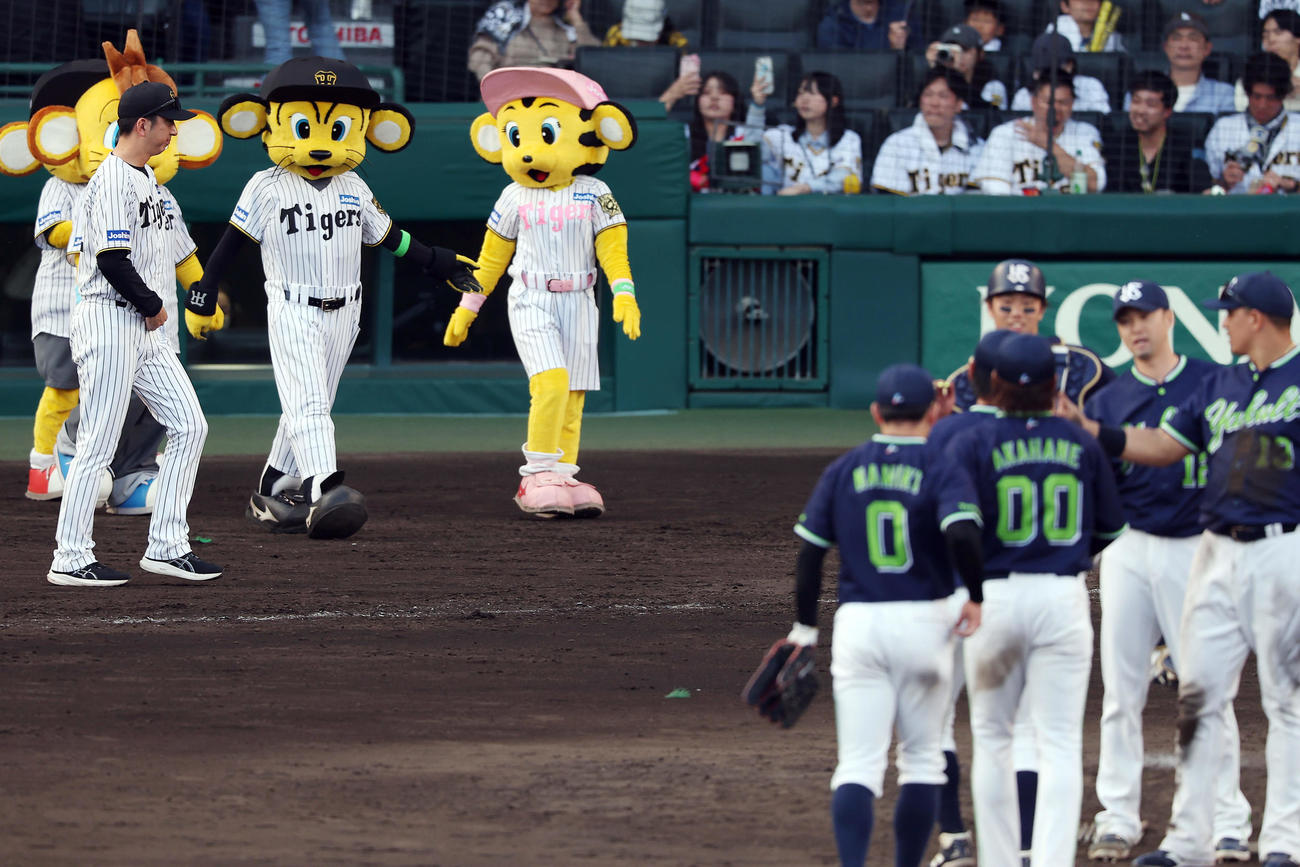 阪神対ヤクルト　ヤクルトに敗れ、ファンへのあいさつに向かう阪神藤川監督（左端）（撮影・前田充）