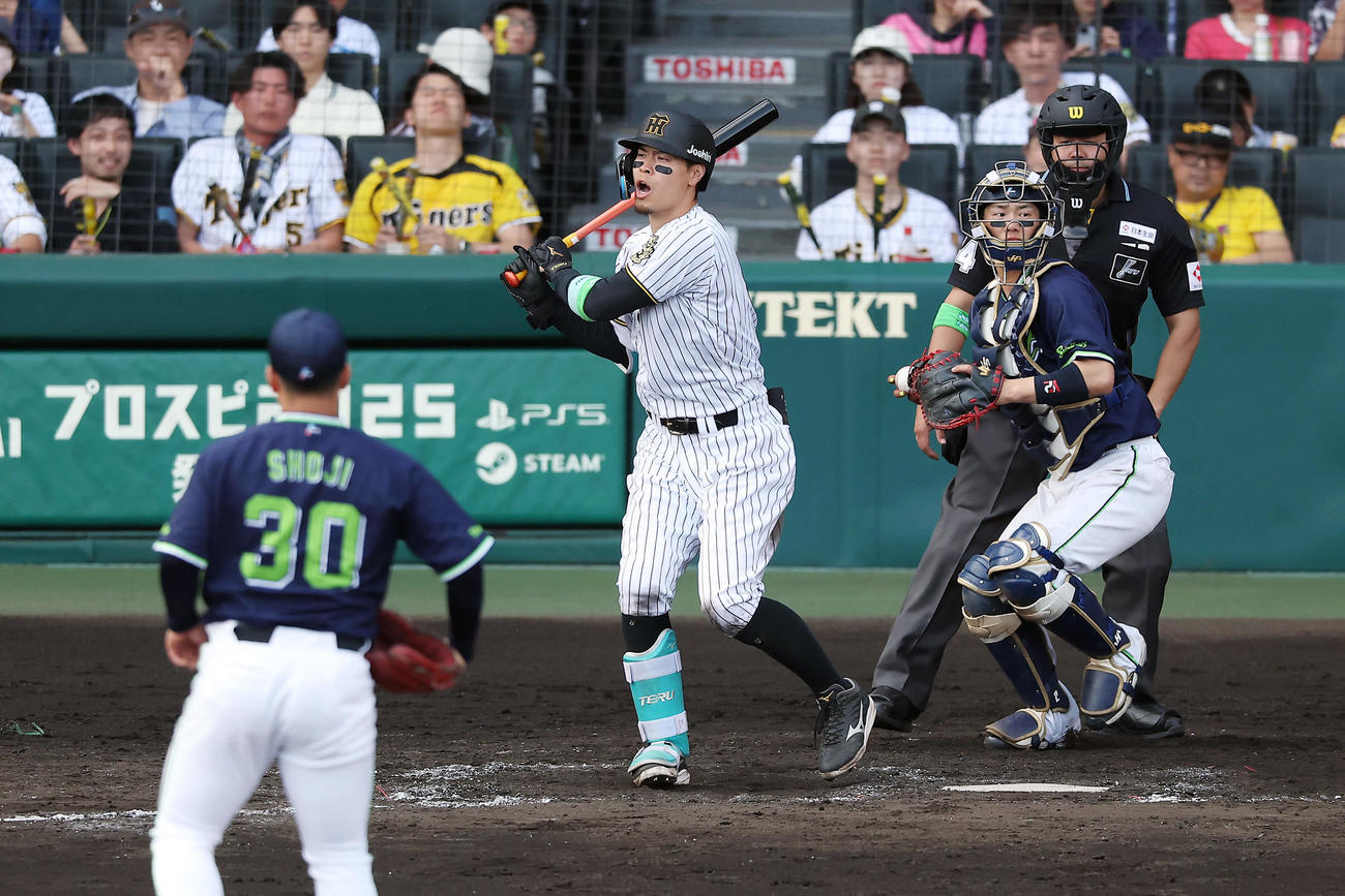 阪神対ヤクルト　8回裏阪神無死、空振り三振に倒れる佐藤輝。投手荘司（撮影・前田充）