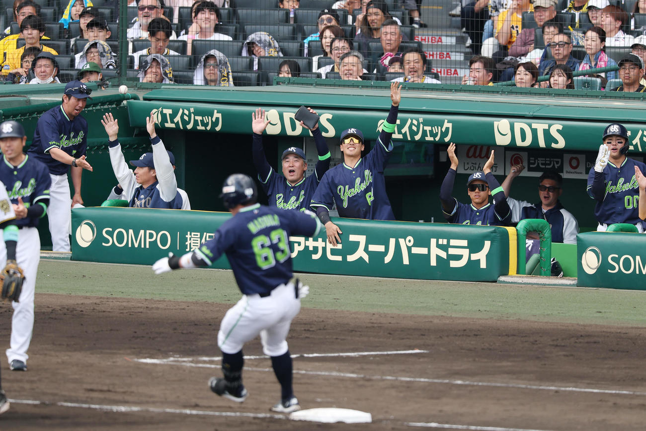 阪神対ヤクルト　7回表ヤクルト1死一、二塁、代打増田の2点適時三塁打で勝ち越し、ベンチで喜ぶヤクルトの選手たち（撮影・前田充）