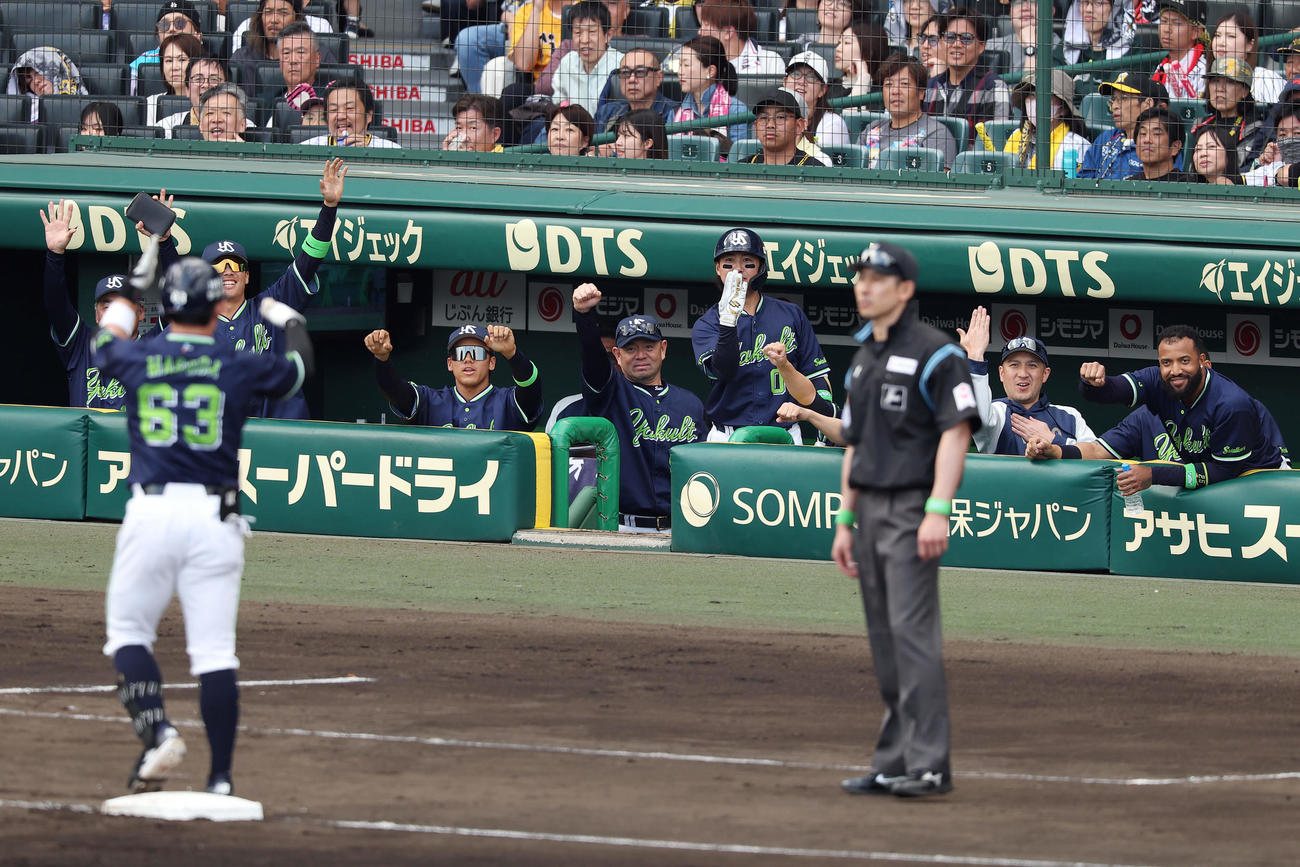 阪神対ヤクルト　7回表ヤクルト1死一、二塁、代打増田の2点適時三塁打で勝ち越し、ベンチで喜ぶヤクルトの選手たち（撮影・前田充）