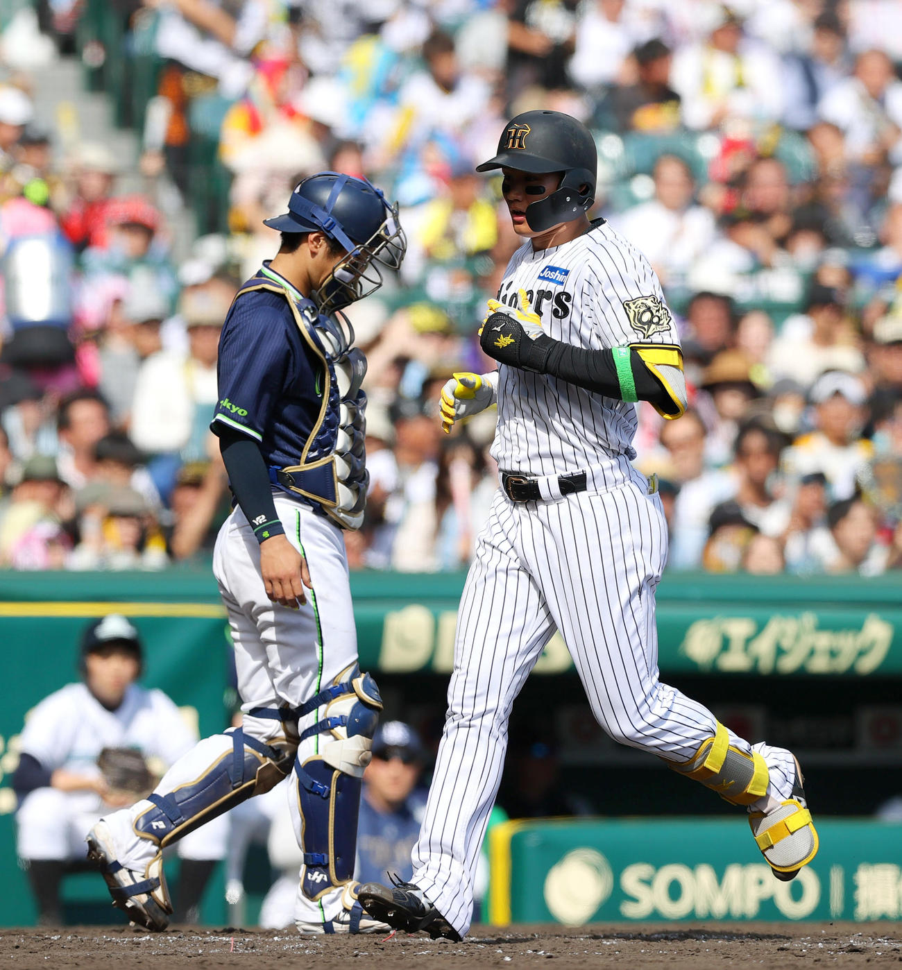 阪神対ヤクルト　4回裏阪神無死、森下（右）は左越え本塁打を放ち生還する（撮影・上山淳一）