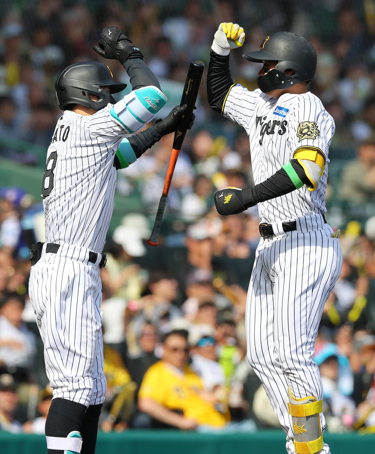 阪神対ヤクルト　4回裏阪神無死、森下（右）は左越え本塁打を放ち佐藤輝とタッチをかわす（撮影・上山淳一）