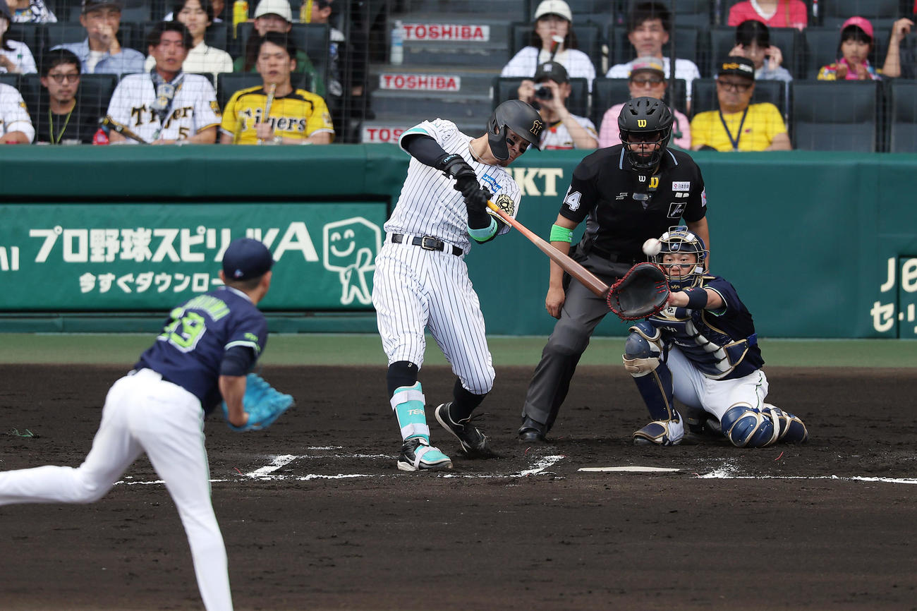 阪神対ヤクルト　7回裏阪神2死、左前打を放つ佐藤輝。投手石川（撮影・前田充）