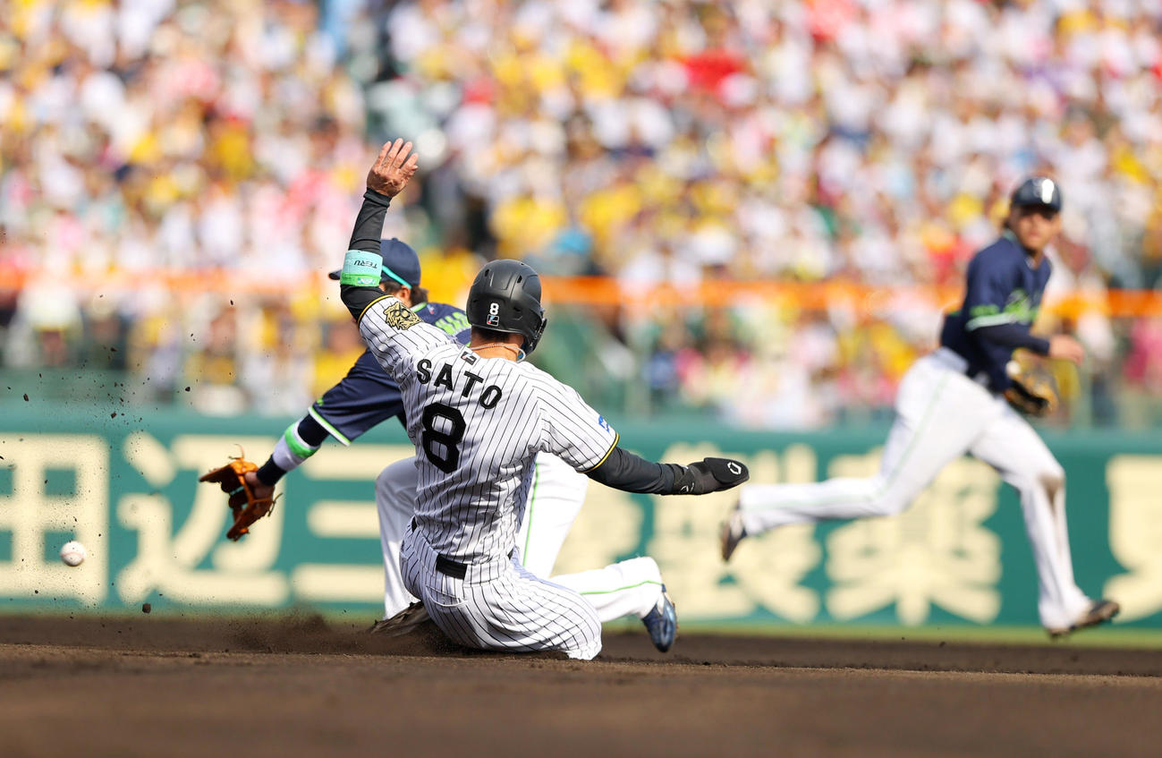 阪神対ヤクルト　6回裏阪神2死一塁、打者大山の時、一走佐藤輝（手前）は二盗を決める（撮影・上山淳一）