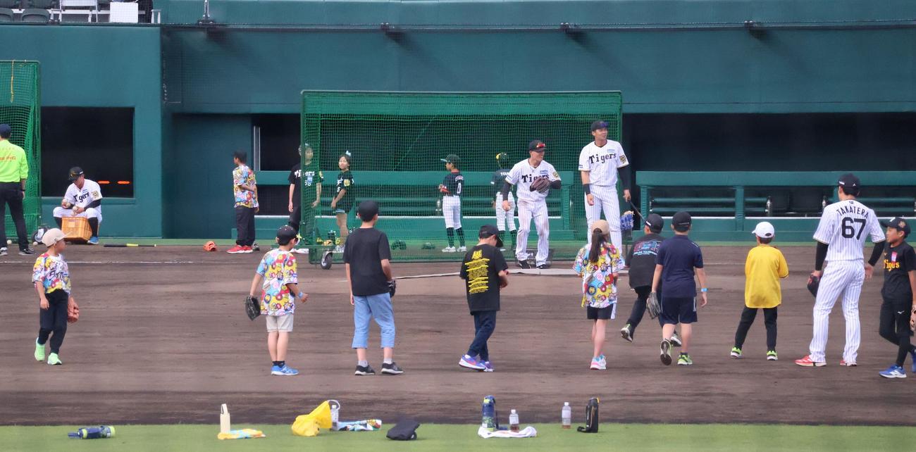 くふうハヤテ戦後に阪神が行った野球教室（撮影・塚本光）