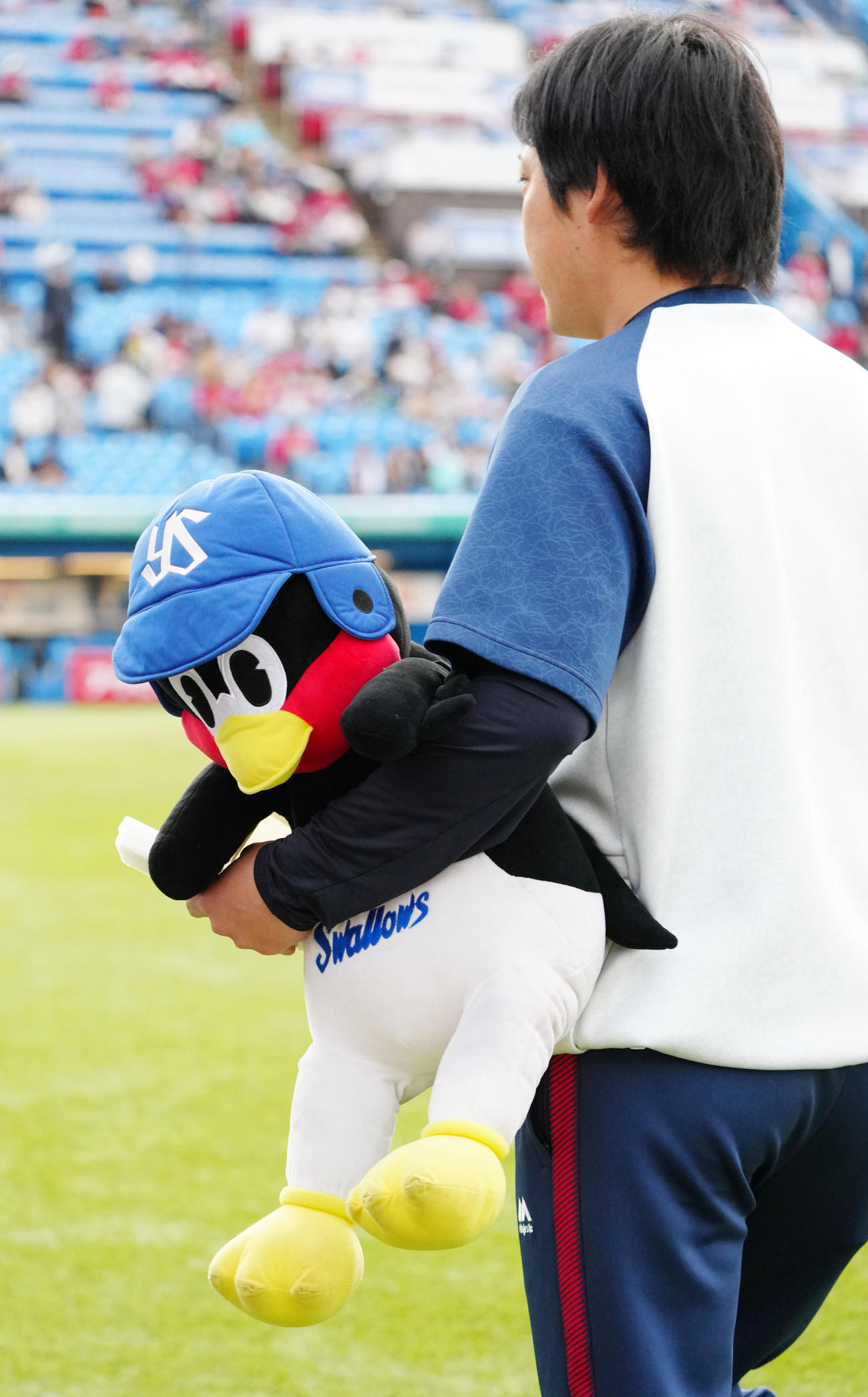ヤクルト対広島　試合前、ベンチに向かうすわくろう（撮影・江口和貴）