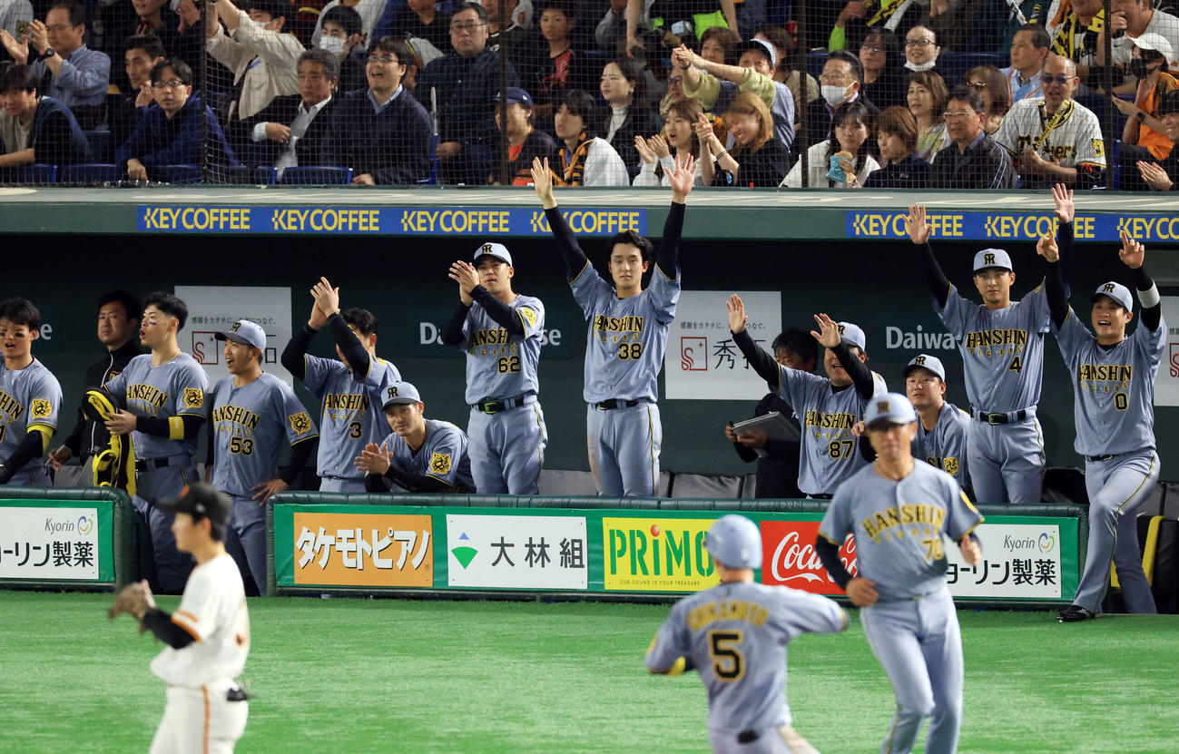 巨人対阪神　3回表阪神2死一、二塁、近本（手前）が右越え2点適時三塁打を放ち盛り上がるベンチ（撮影・浅見桂子）
