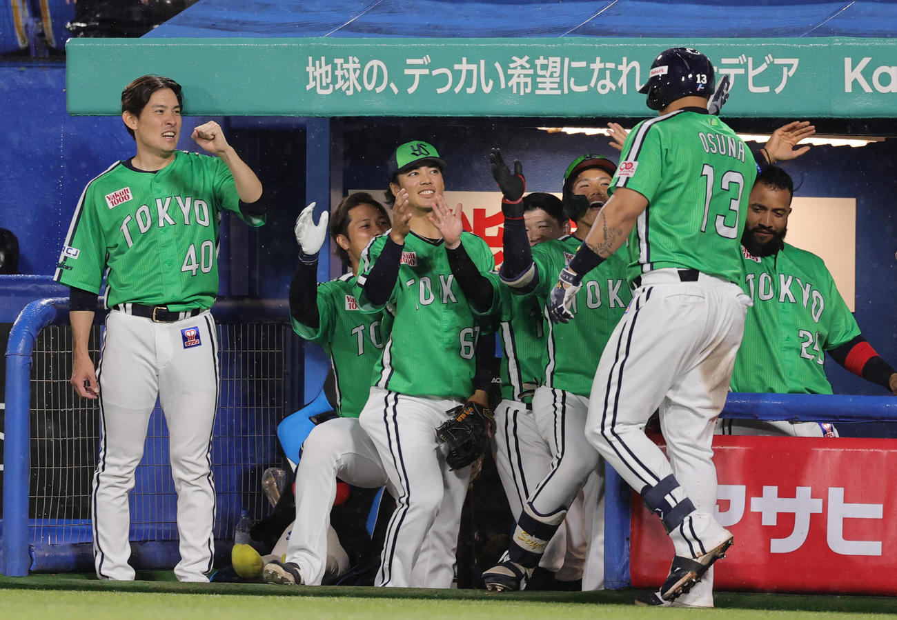 ヤクルト対巨人　7回裏ヤクルト無死、左越え本塁打を放ちベンチに迎えられるオスナ。左端は高梨（撮影・野上伸悟）