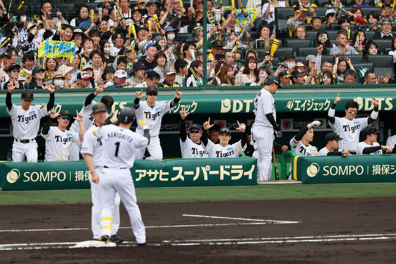 阪神対中日　1回裏阪神1死二塁、森下の中前適時打に盛り上がるベンチのナイン（撮影・加藤哉）