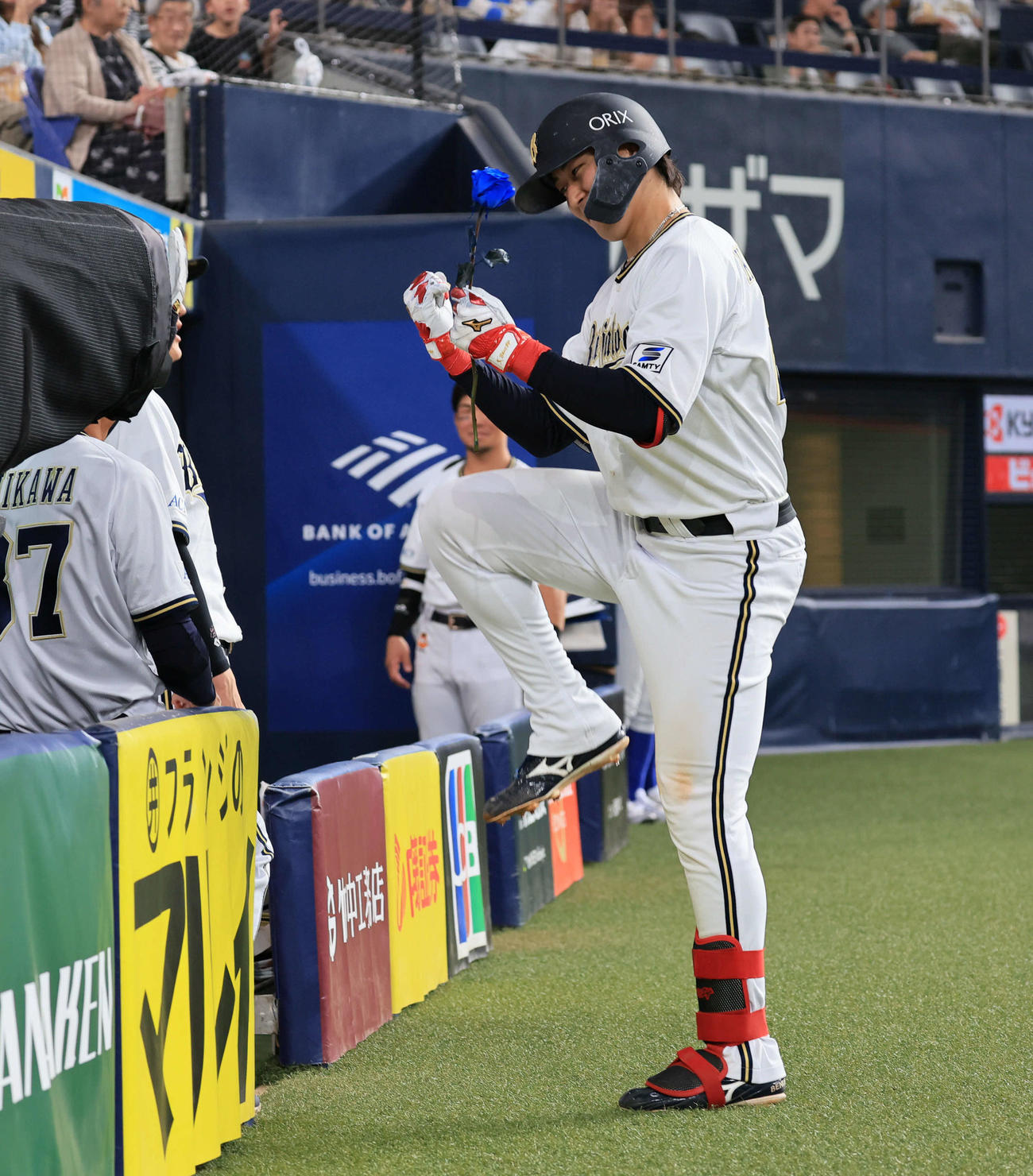 オリックス対ソフトバンク　5回裏オリックス1死、紅林は左越え本塁打を放ち、青いバラを手に踊る（撮影・宮崎幸一）